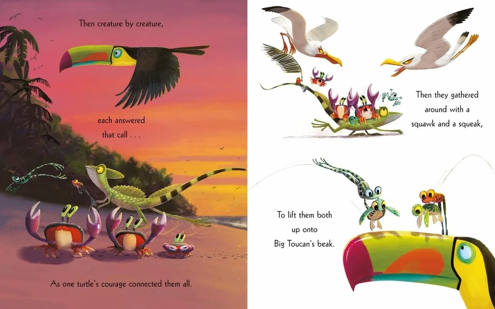 The turtle who turned the tide: From The World of Rachel Bright & Jim Field