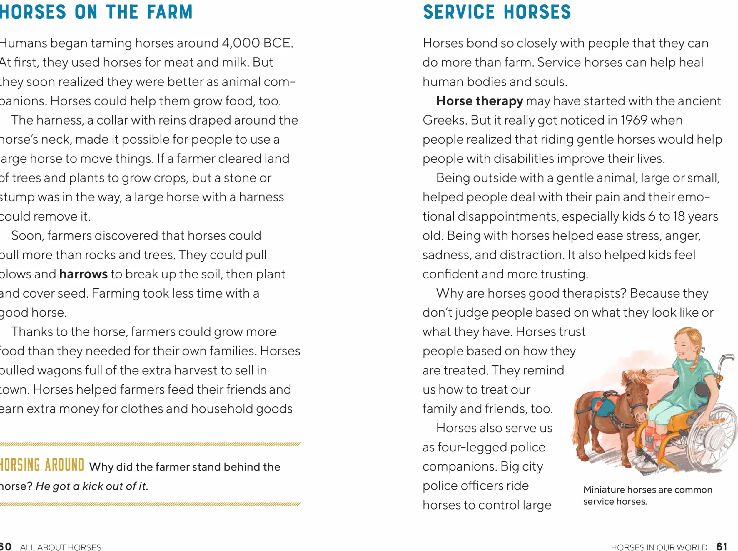 All about Horses: A Kid's Guide to Breeds, Care, Riding, and More!
