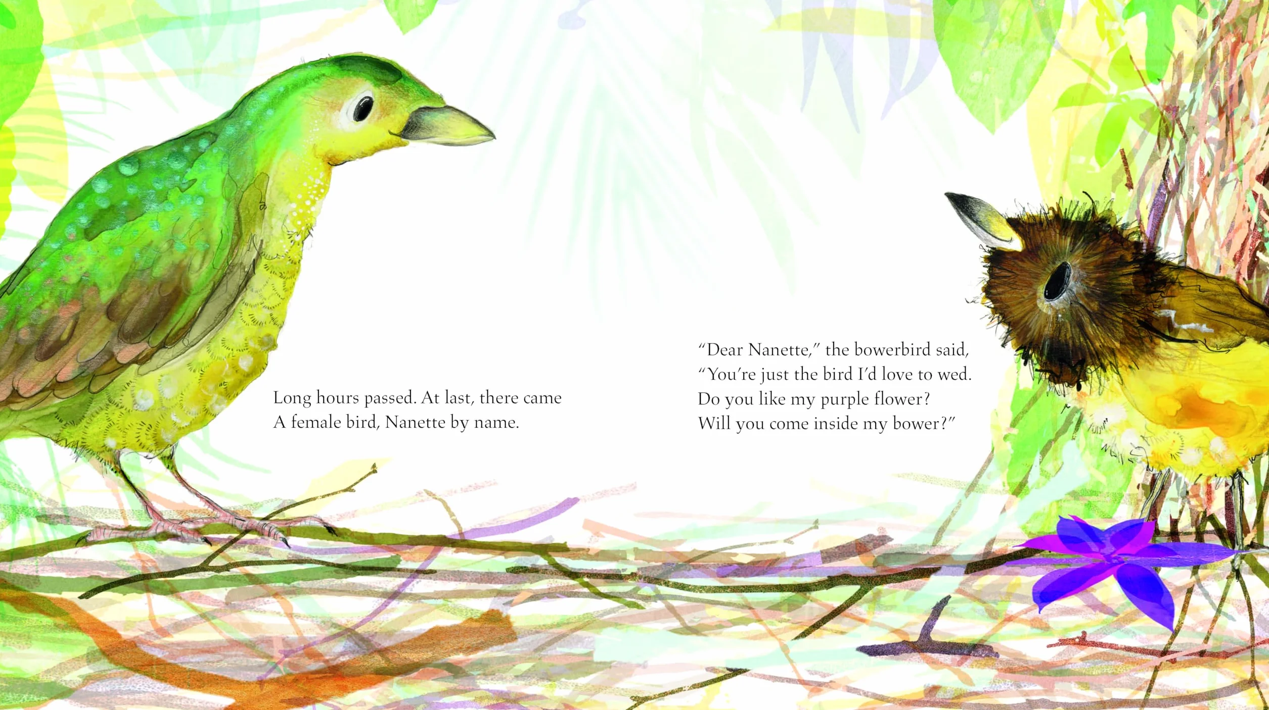 The Bowerbird