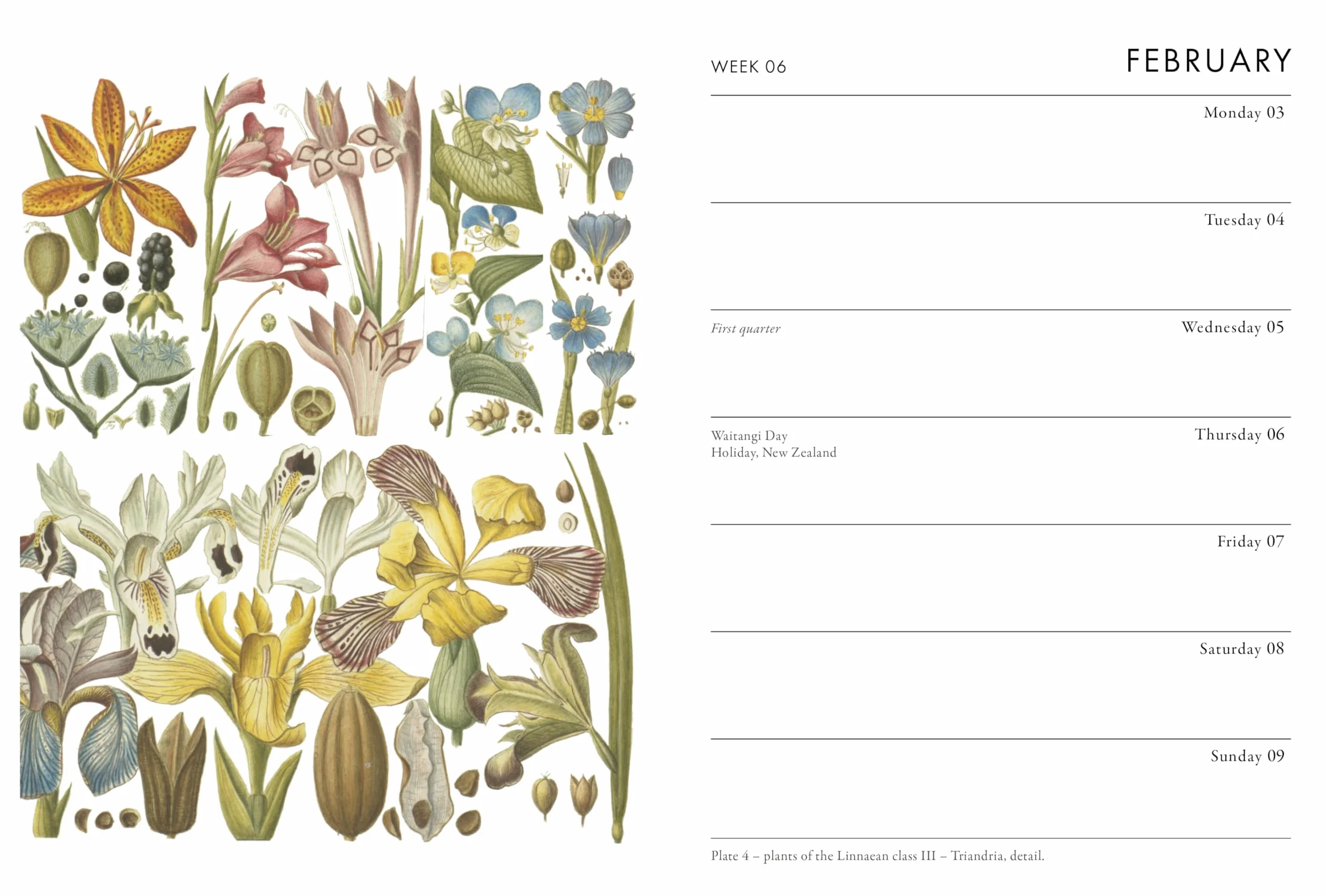 Rhs Pocket Diary 2025