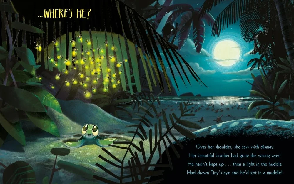 The turtle who turned the tide: From The World of Rachel Bright & Jim Field