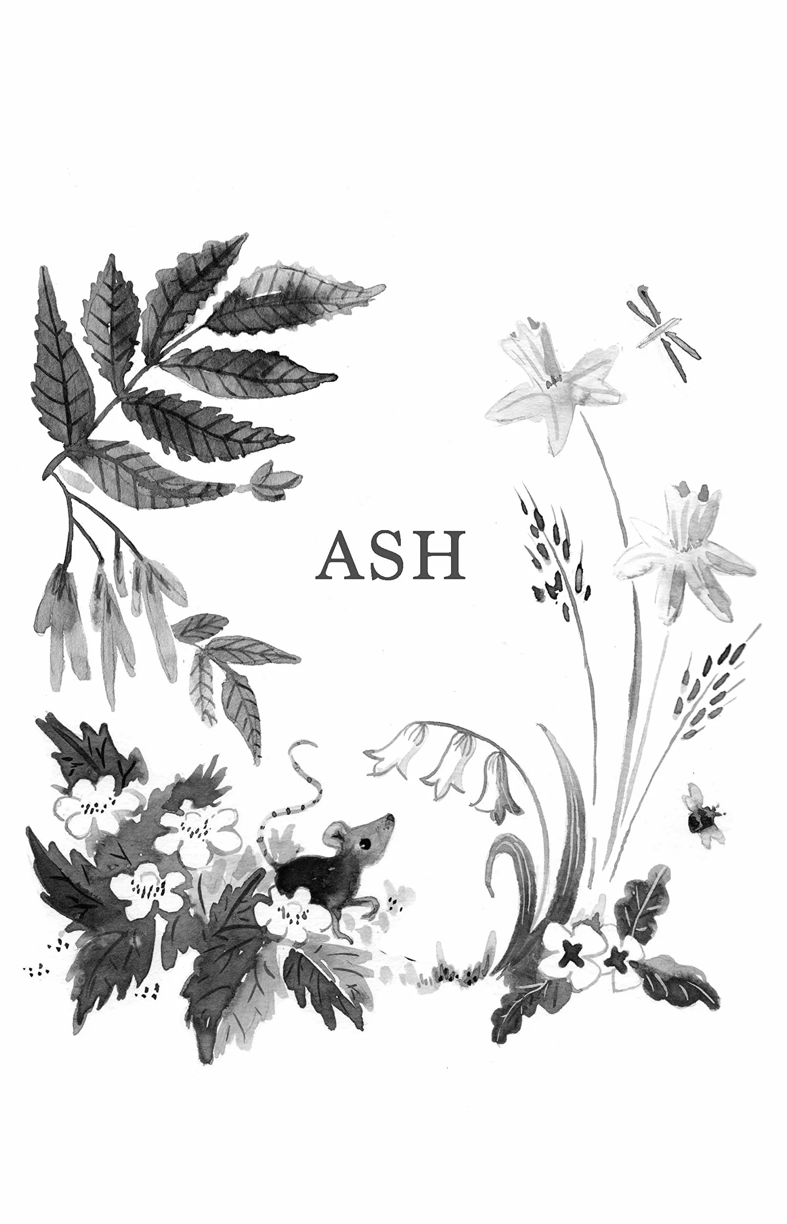 By Ash, Oak and Thorn: the perfect cosy read for children, chosen as one of Countryfile's best books of 2021
