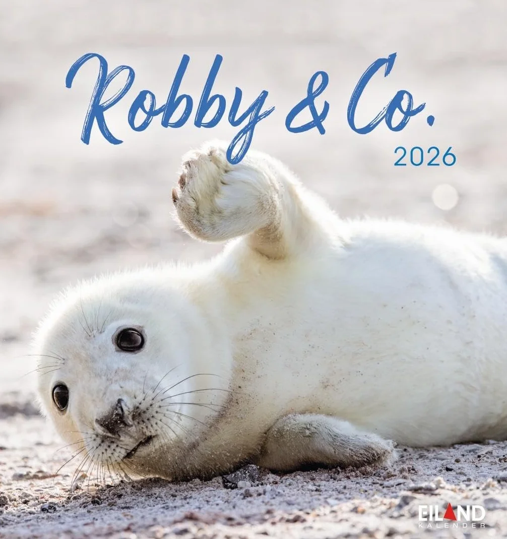 Robby & Co. Postkartenkalender 2026: Robben und Seehunde in natürlicher Umgebung in einem kleinen Kalender. Postkarten-Fotokalender für Tierfreunde zum Aufstellen oder Aufhängen