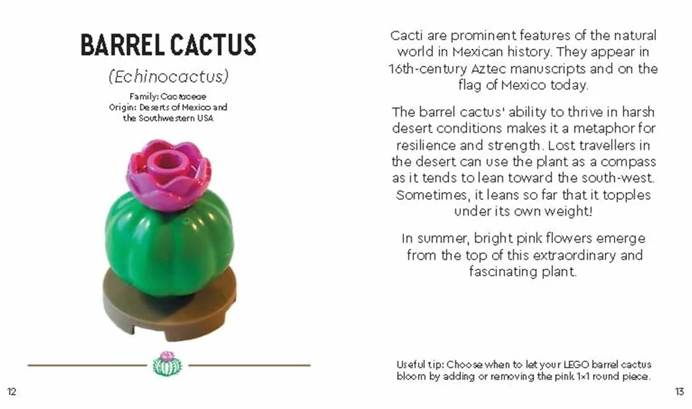 LEGO® Botanicals(TM): Tiny Desert Garden