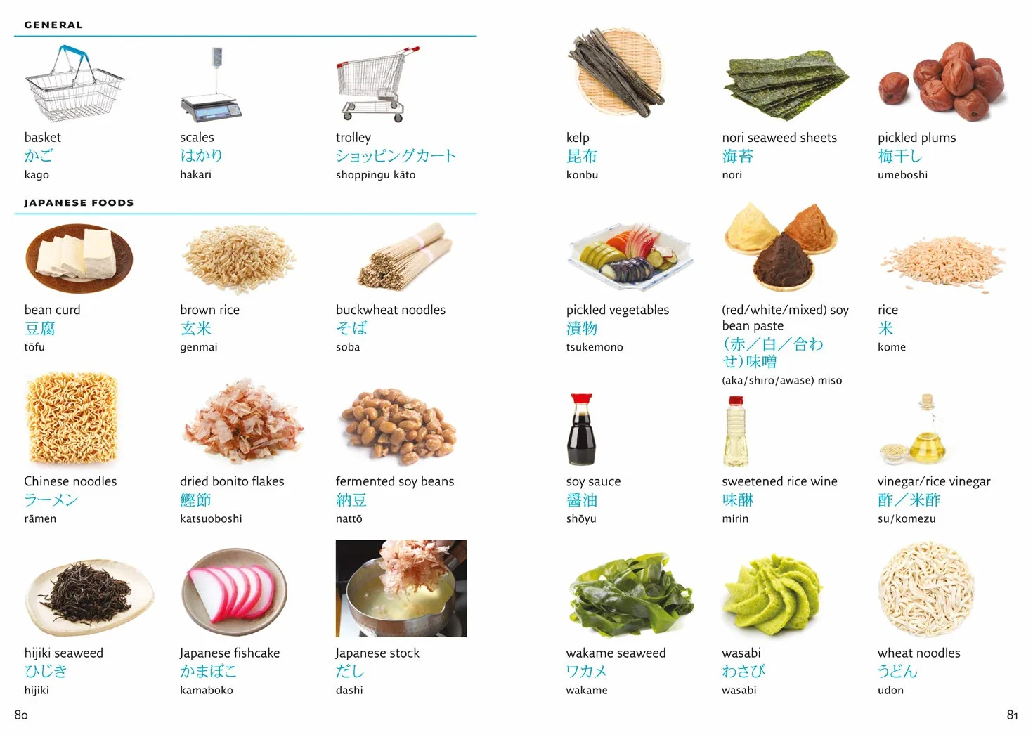 Japanese Visual Dictionary: A photo guide to everyday words and phrases in Japanese