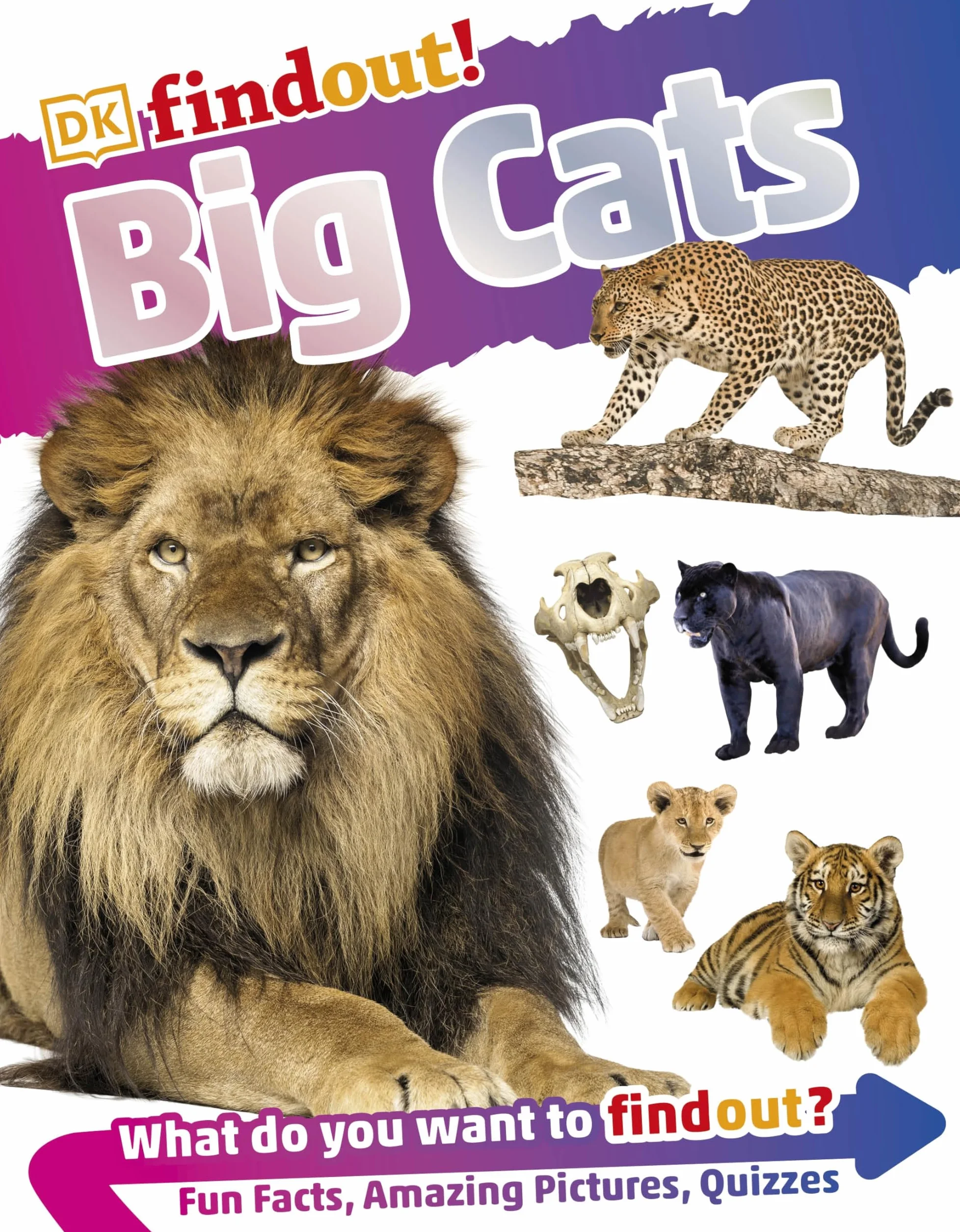 DKfindout! Big Cats