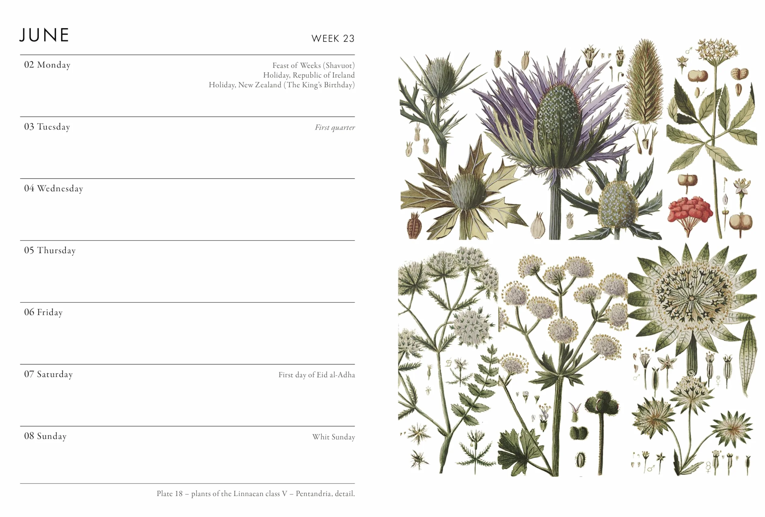 Rhs Pocket Diary 2025
