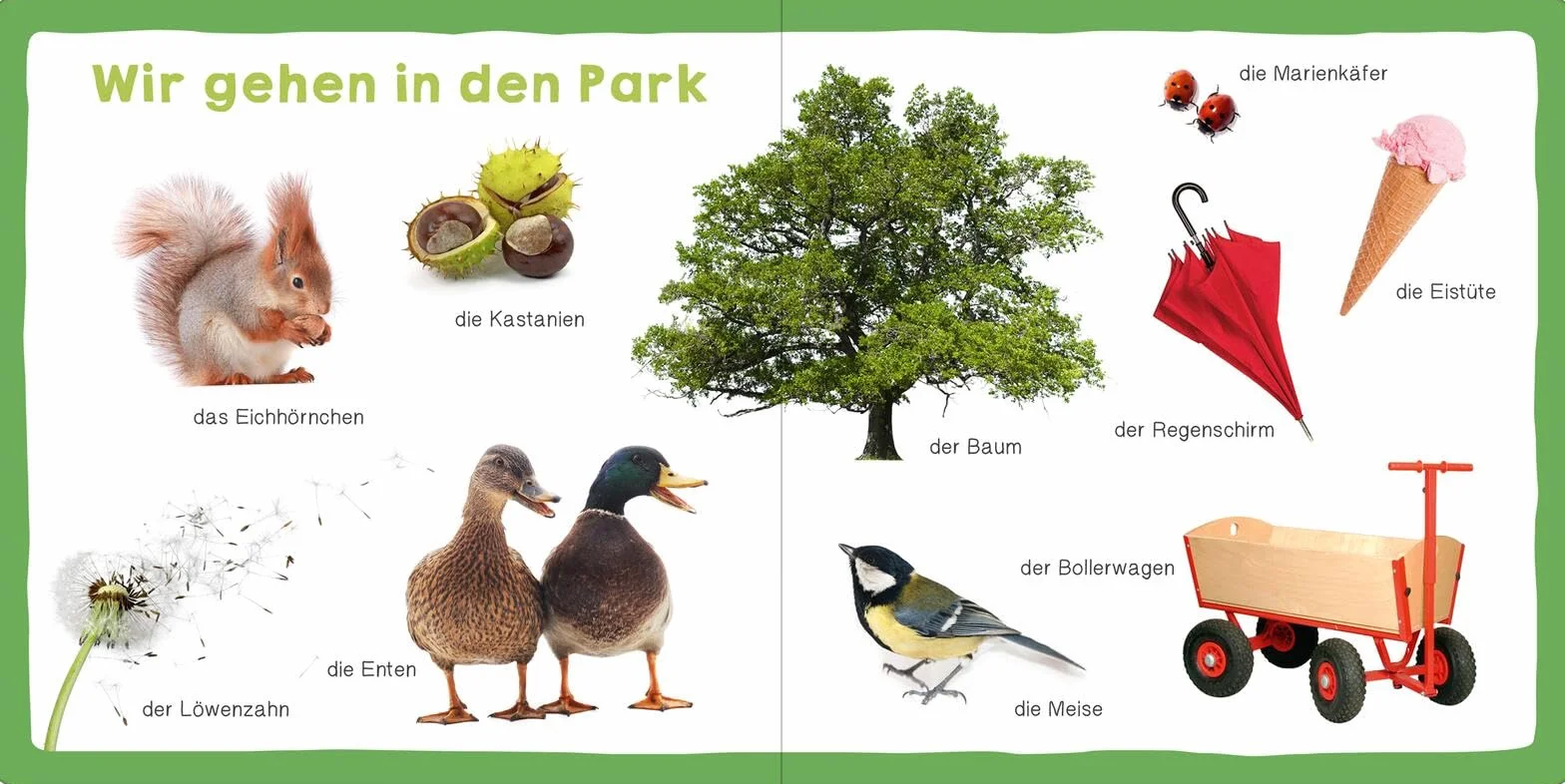 Meine ersten 100 Wörter: Foto-Wörterbuch