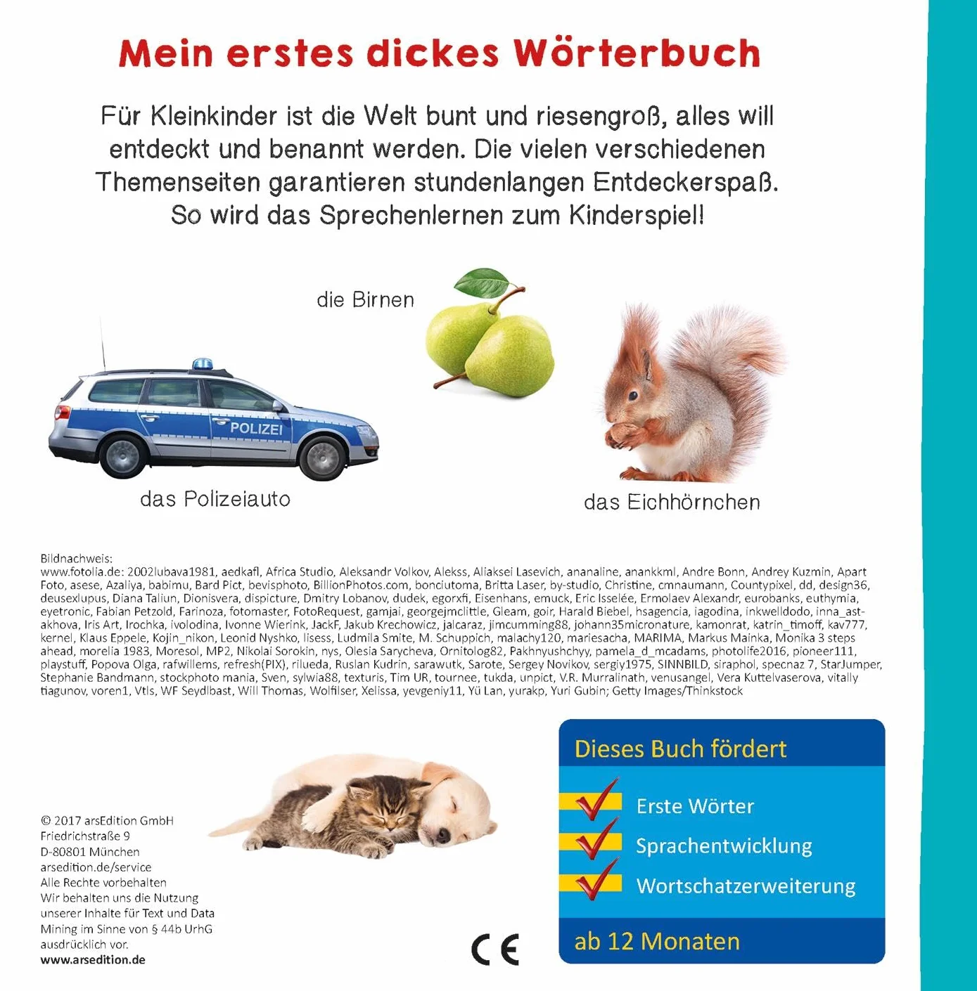 Meine ersten 100 Wörter: Foto-Wörterbuch