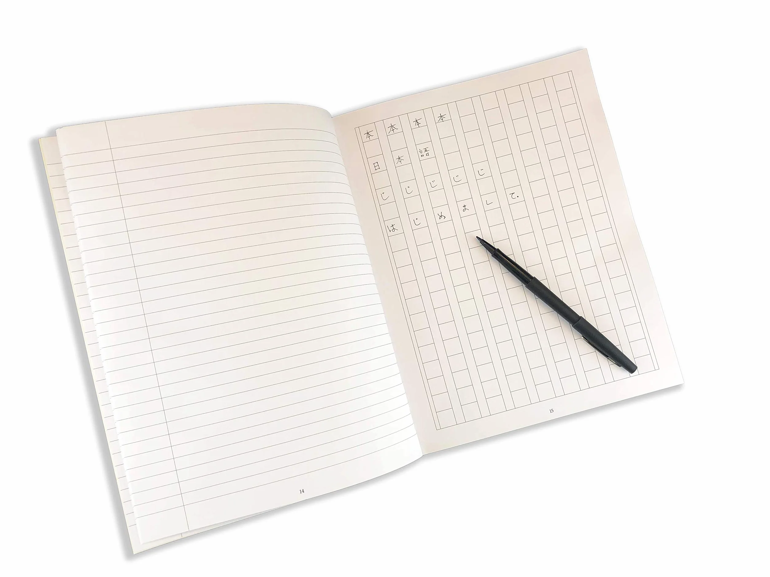 Japanese Language Writing Practice Book: Learn to Write Hiragana, Katakana and Kanji - Character Handwriting Sheets with Square Grids (Ideal for Jlpt and AP Exam Prep)