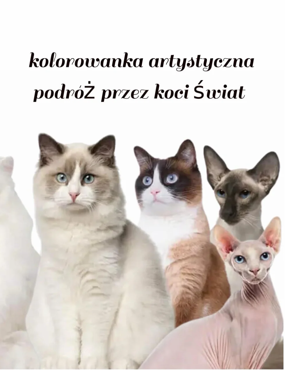 Pomaluj kotka - kolorowanka dla miłośników kotów: Koty Rasowe – Edukacyjna Kolorowanka dla Miłośników Kotów