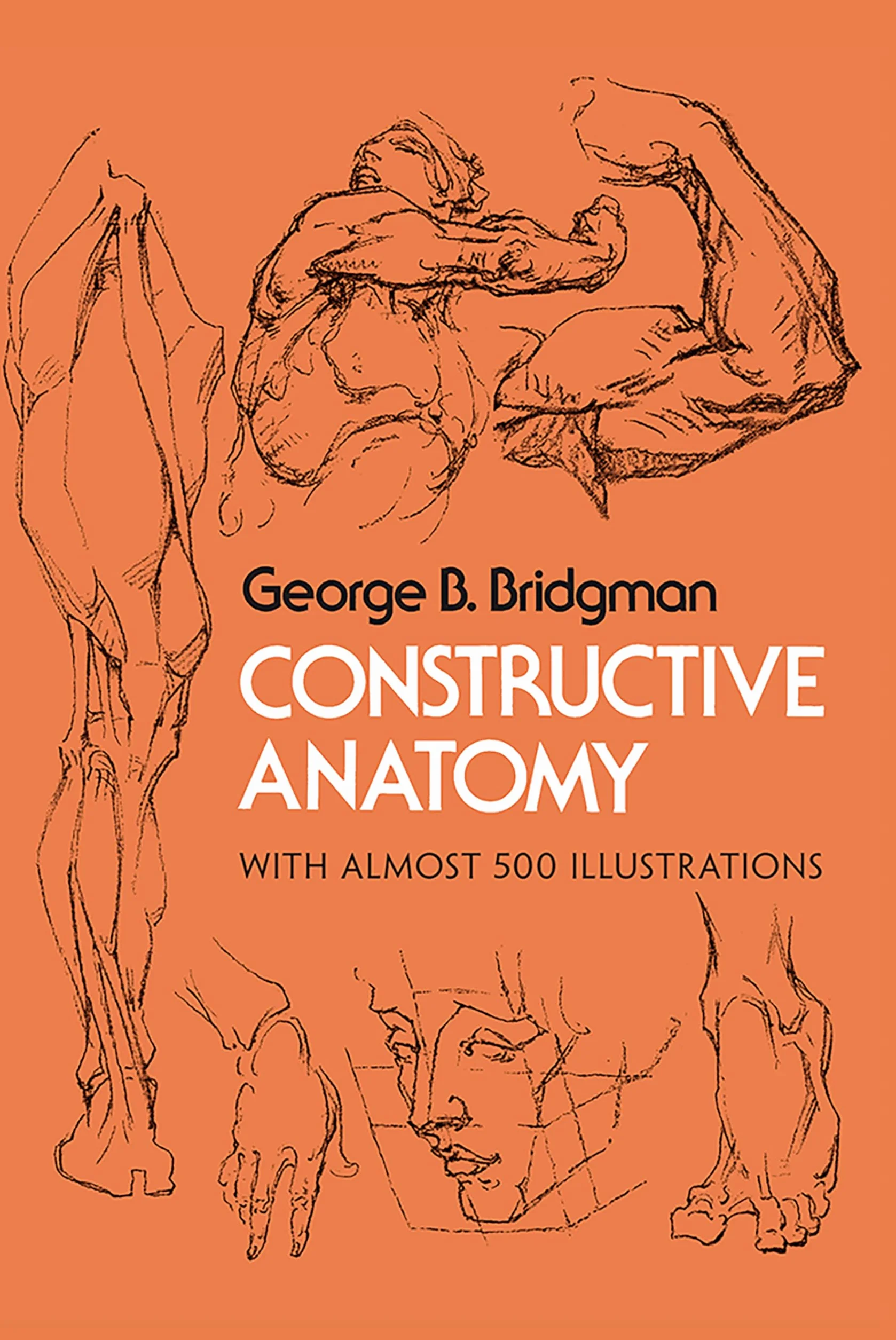 Constructive anatomy: With Almost 500 Illustrations