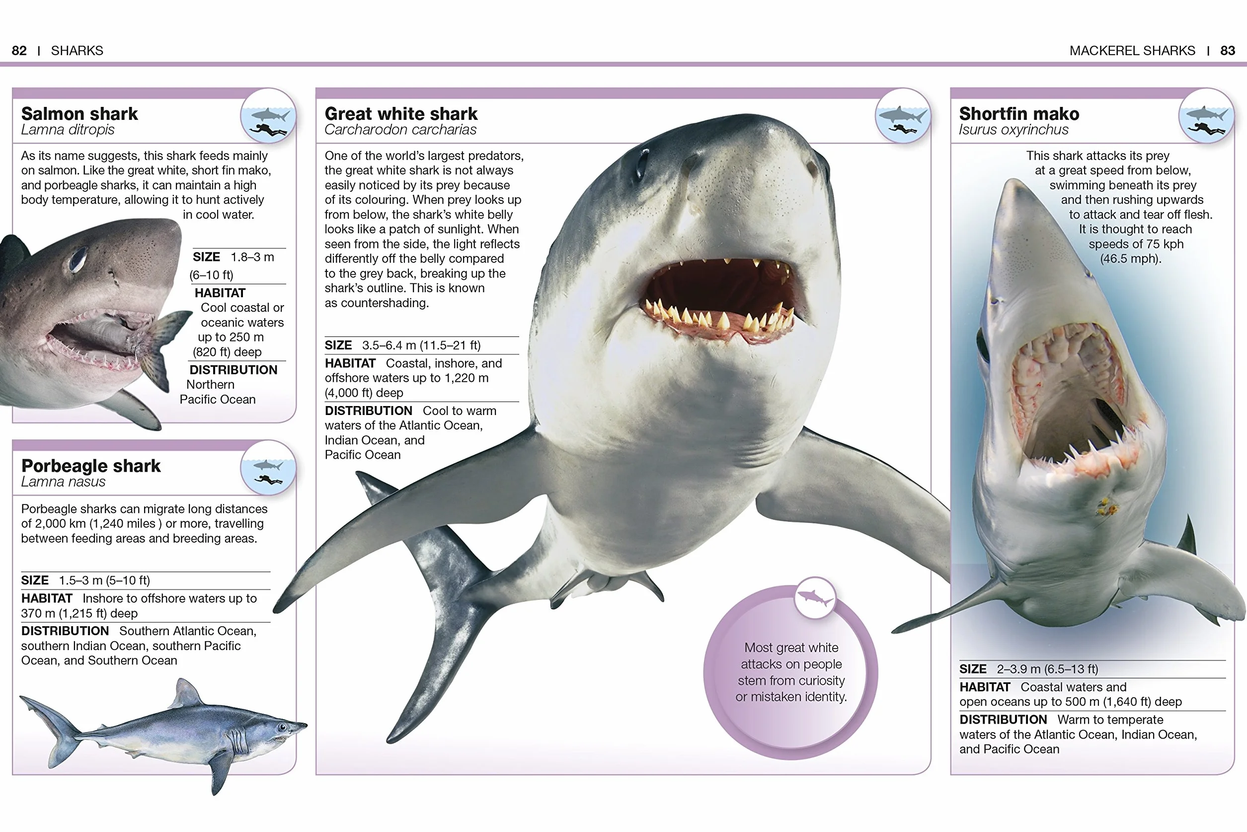 Pocket Eyewitness Sharks: Facts at Your Fingertips