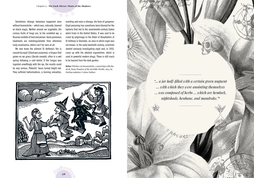 Witch's Garden: Plants in Folklore, Magic and Traditional Medicine