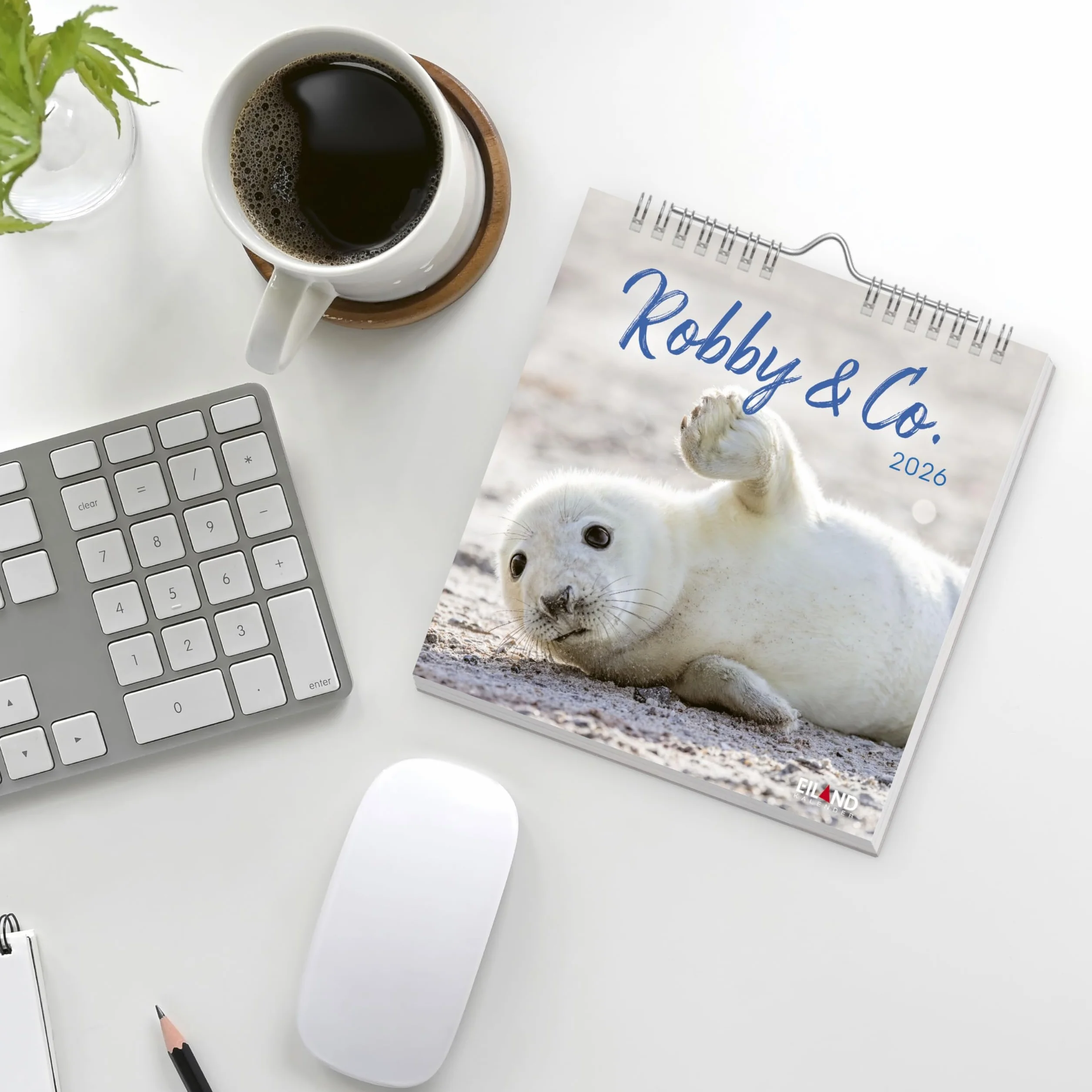Robby & Co. Postkartenkalender 2026: Robben und Seehunde in natürlicher Umgebung in einem kleinen Kalender. Postkarten-Fotokalender für Tierfreunde zum Aufstellen oder Aufhängen