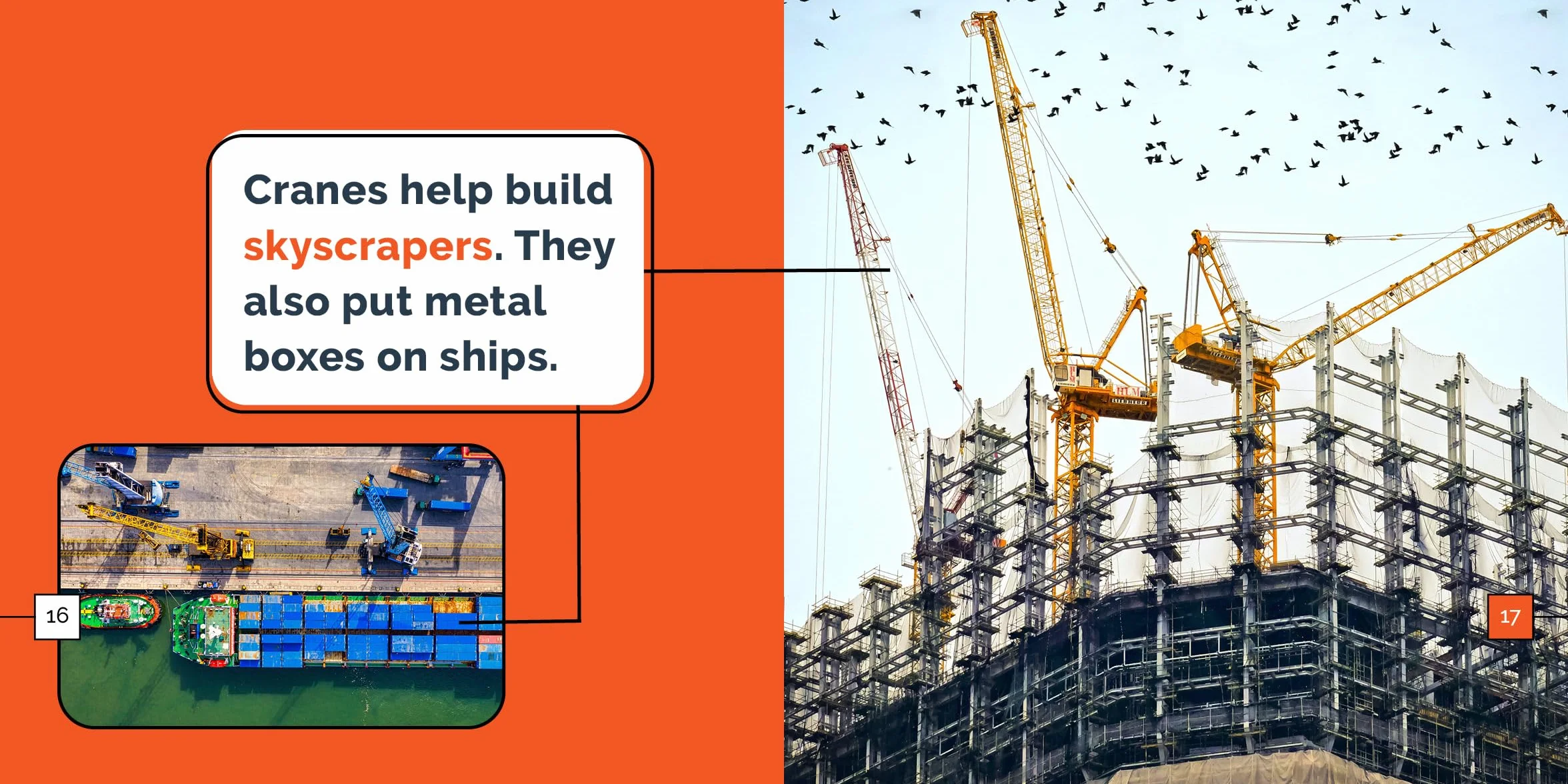 Cranes