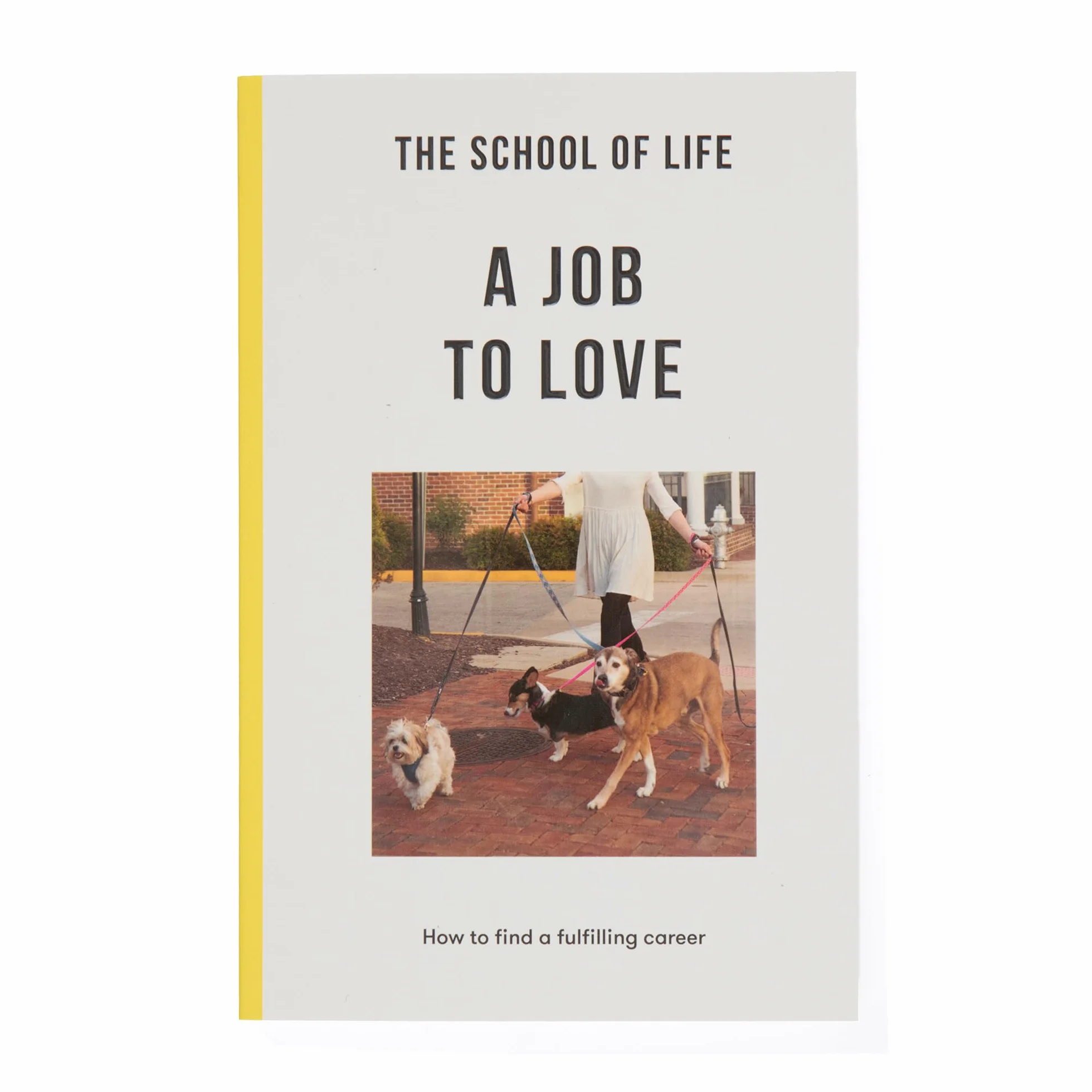 A Job to Love: How to find a fulfilling career