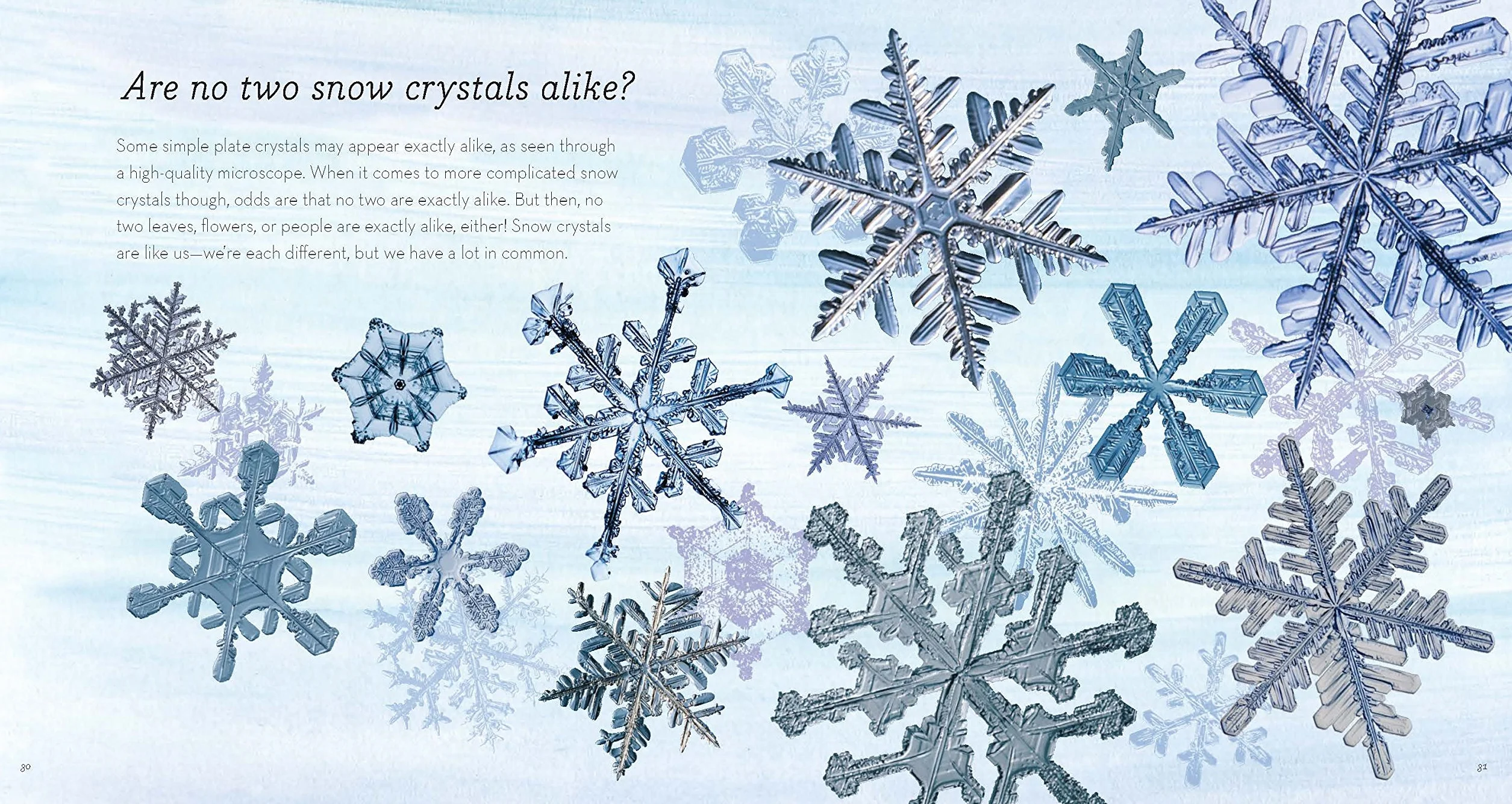 Story of Snow: The Science of Winter's Wonder