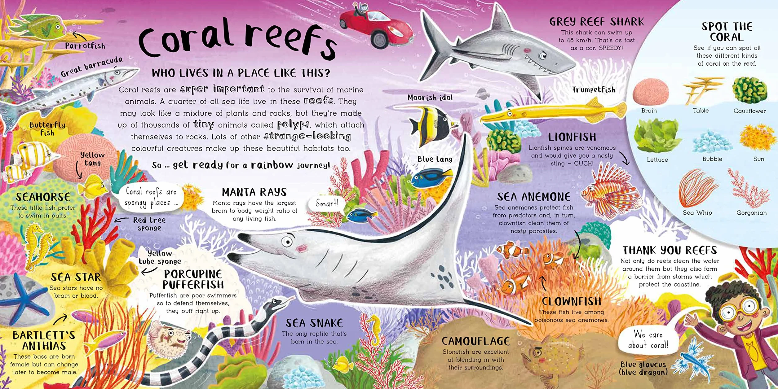 Do You Love Oceans?: Why oceans are magnificently mega!