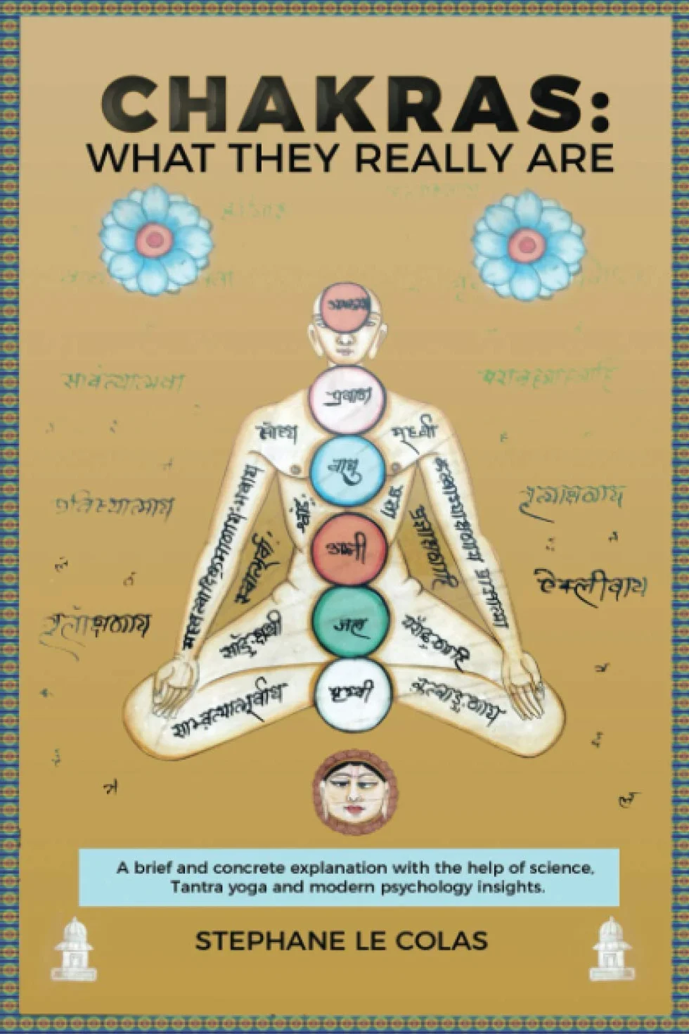 Chakras: What They Really Are: A Brief but Concrete Explanation with the Help of Science, Tantra Yoga and Modern Psychology Insights.