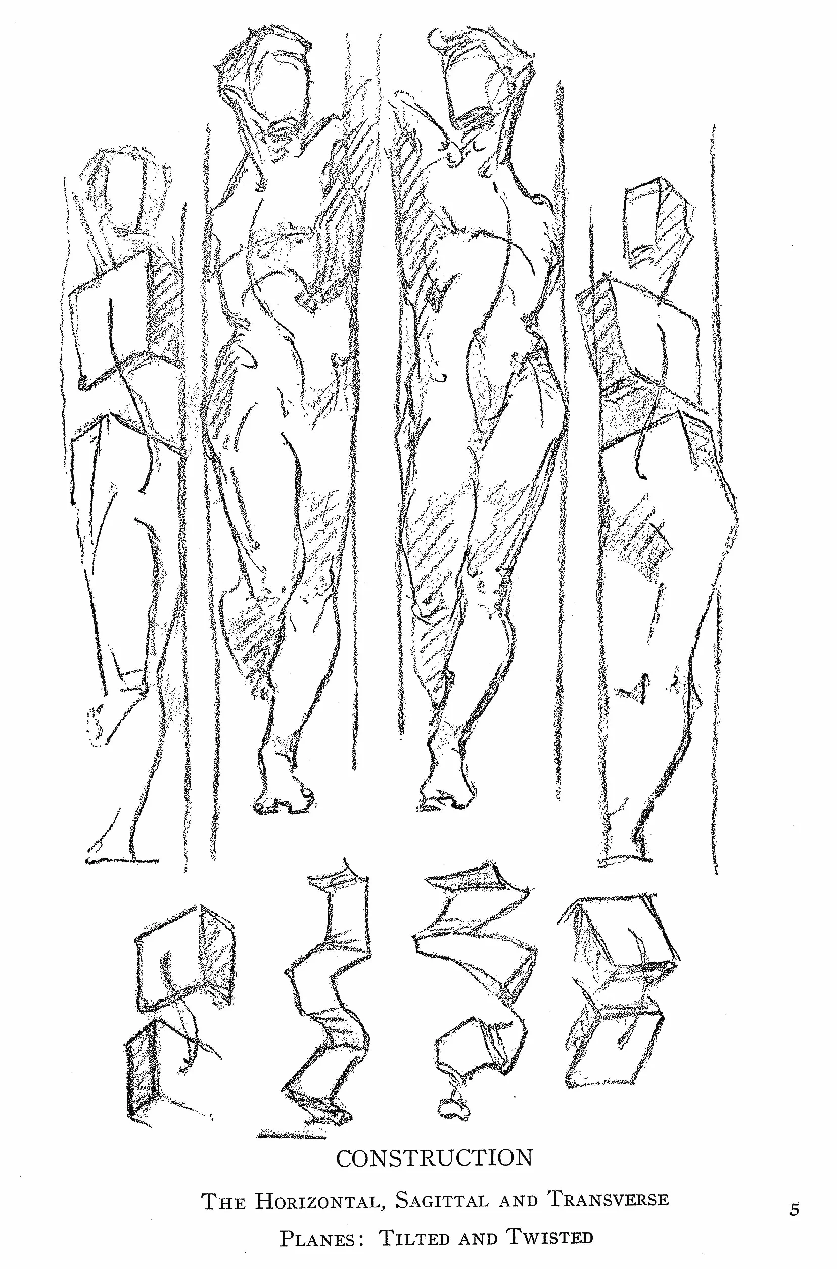 Constructive anatomy: With Almost 500 Illustrations