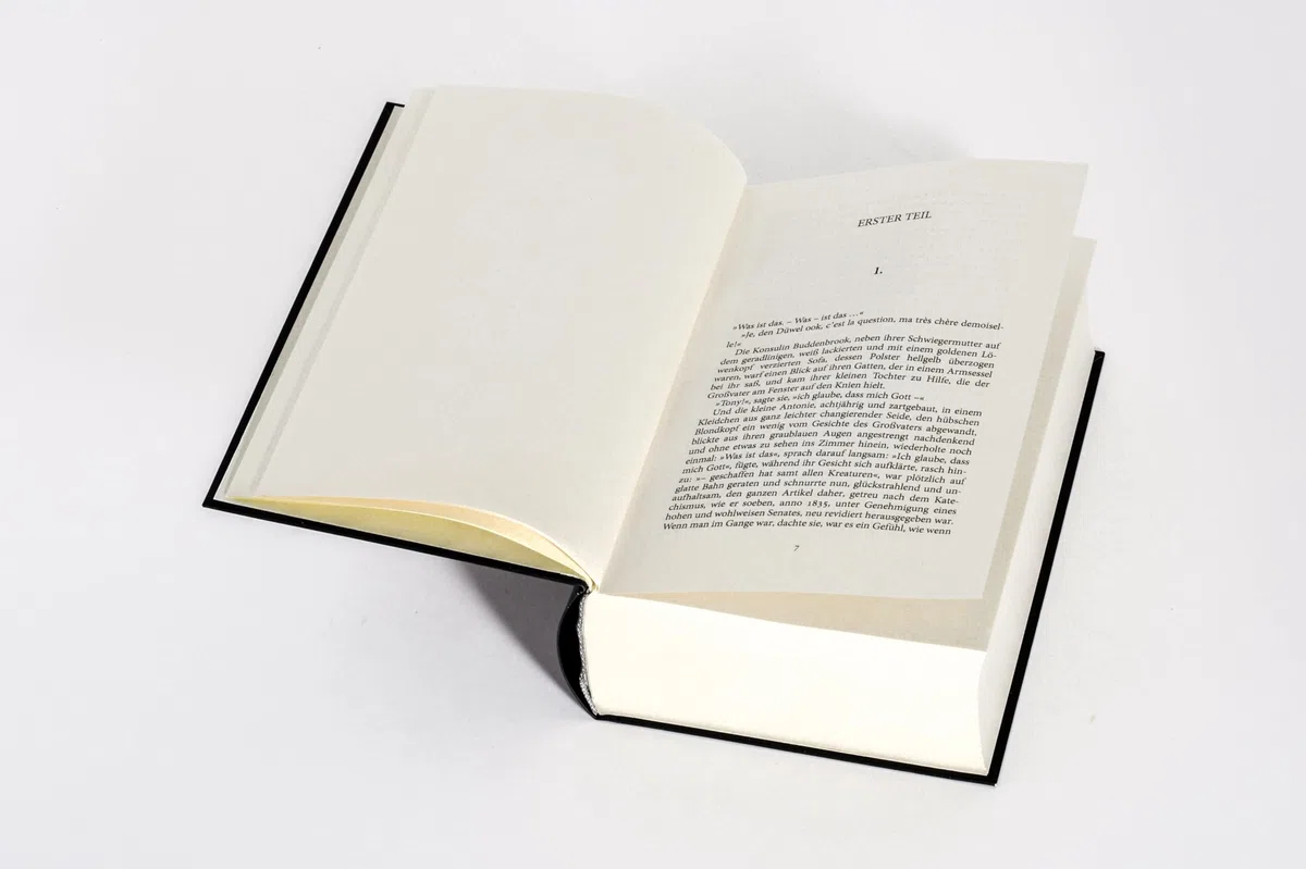 Buddenbrooks. Verfall einer Familie. Roman: Manns legendärer Debütroman, der ihm den Literaturnobelpreis einbachte