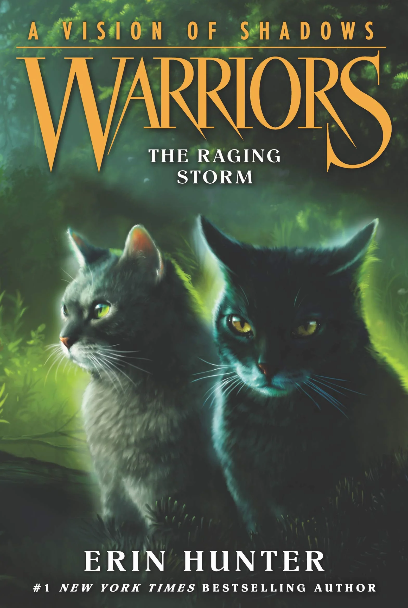 Warriors: A Vision of Shadows: The Raging Storm: 6