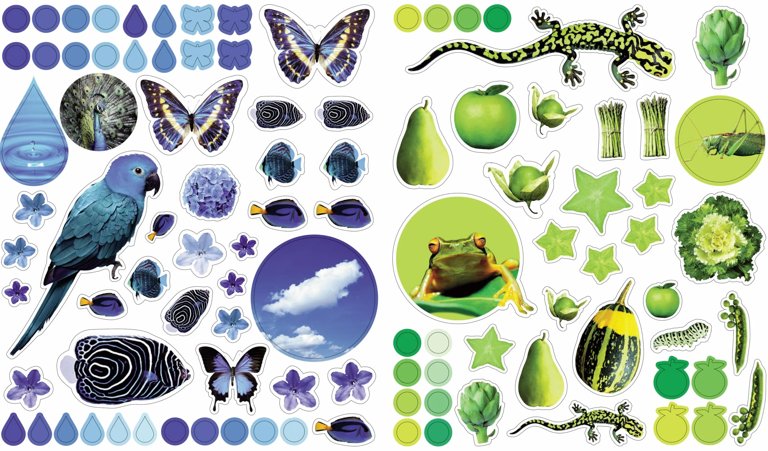 Eyelike Stickers: Colors: 400 Reusable Stickers Inspired by Nature