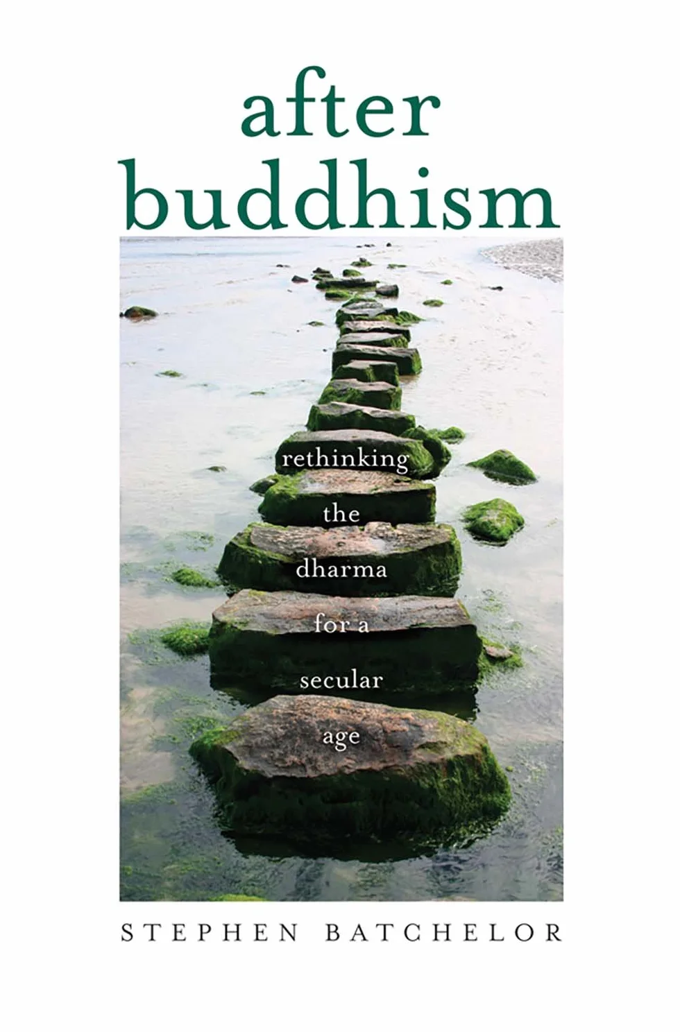 After Buddhism: Rethinking the Dharma for a Secular Age