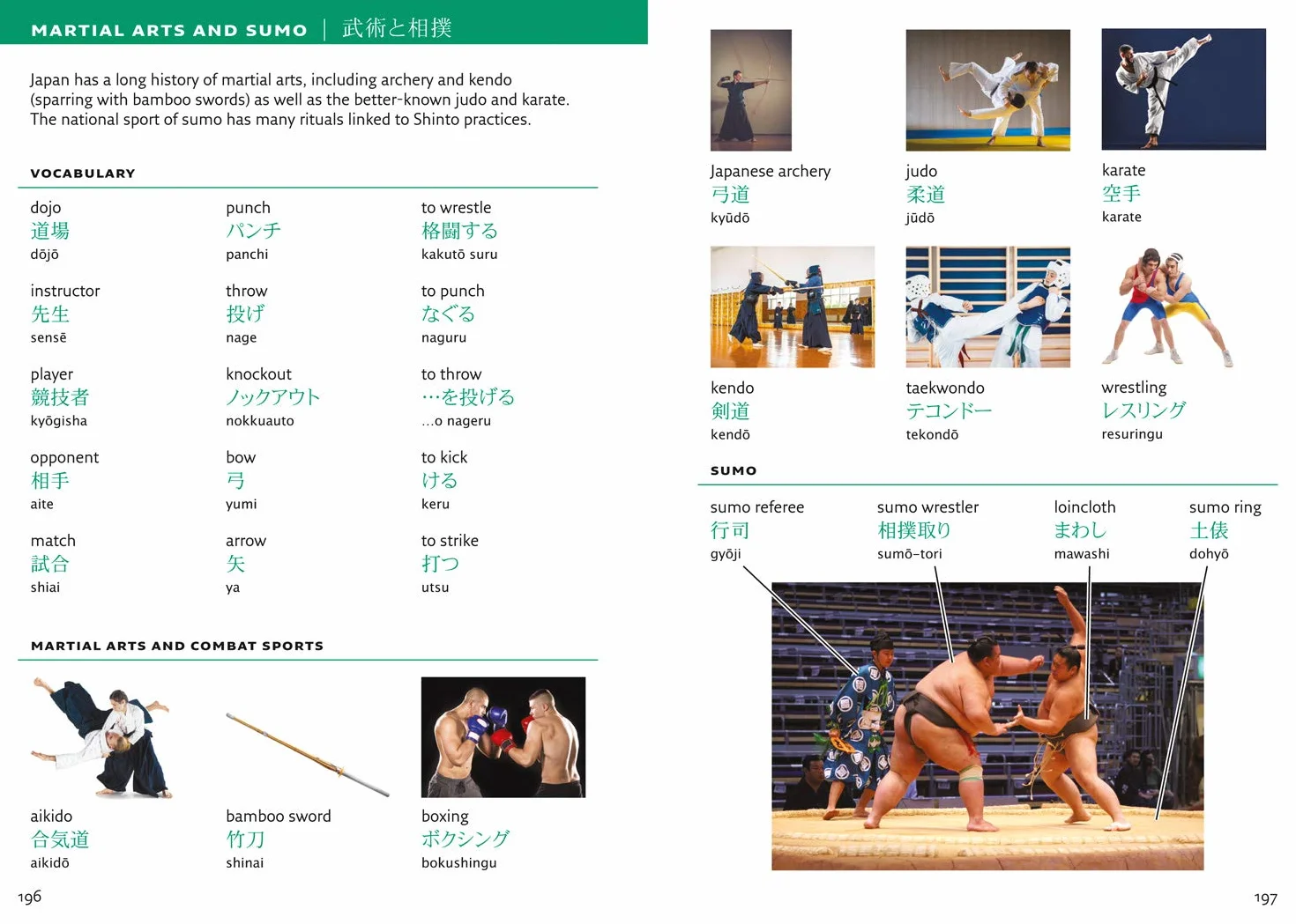 Japanese Visual Dictionary: A photo guide to everyday words and phrases in Japanese
