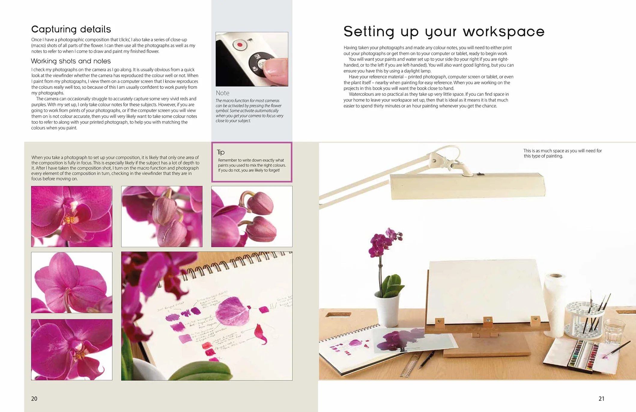 The Modern Flower Painter: Creating Vibrant Botanical Portraits in Watercolour