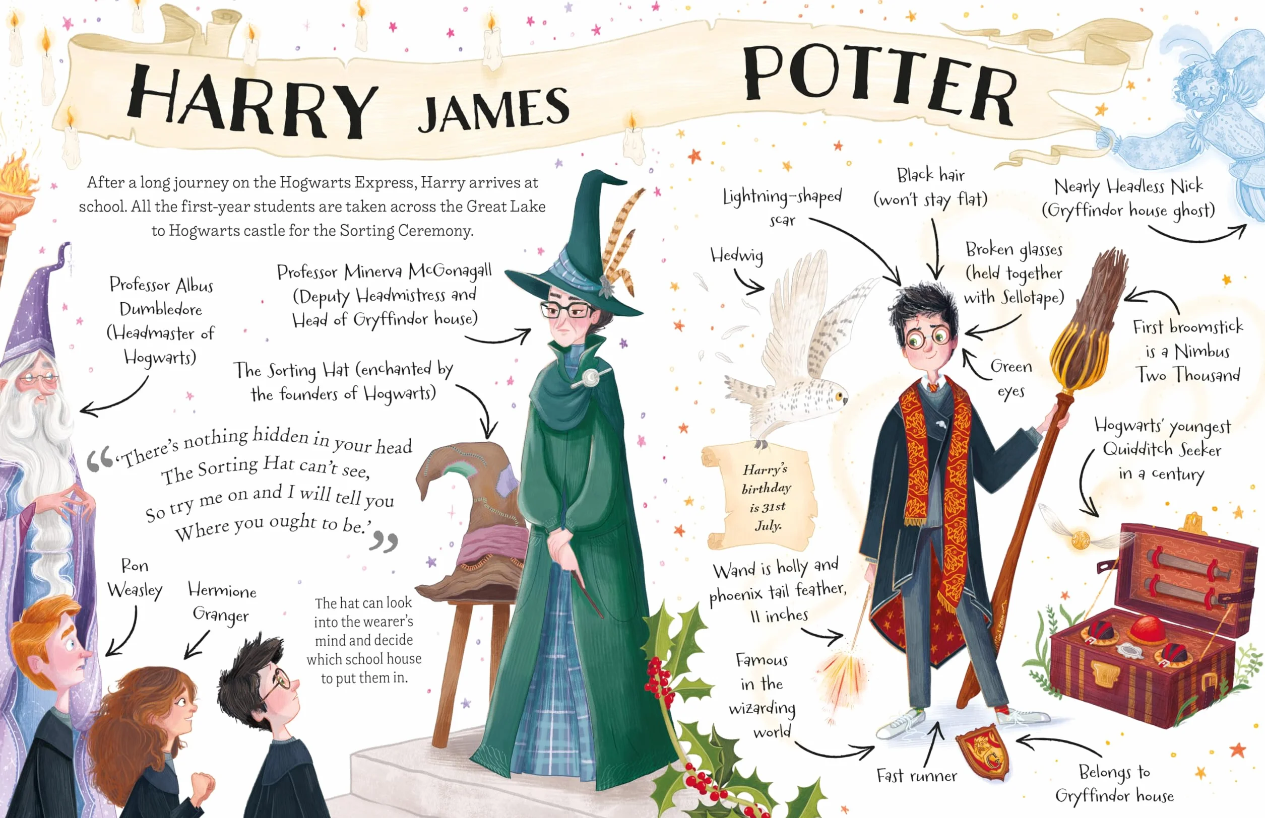 Harry Potter: The must-have Christmas stocking filler for Potter fans!