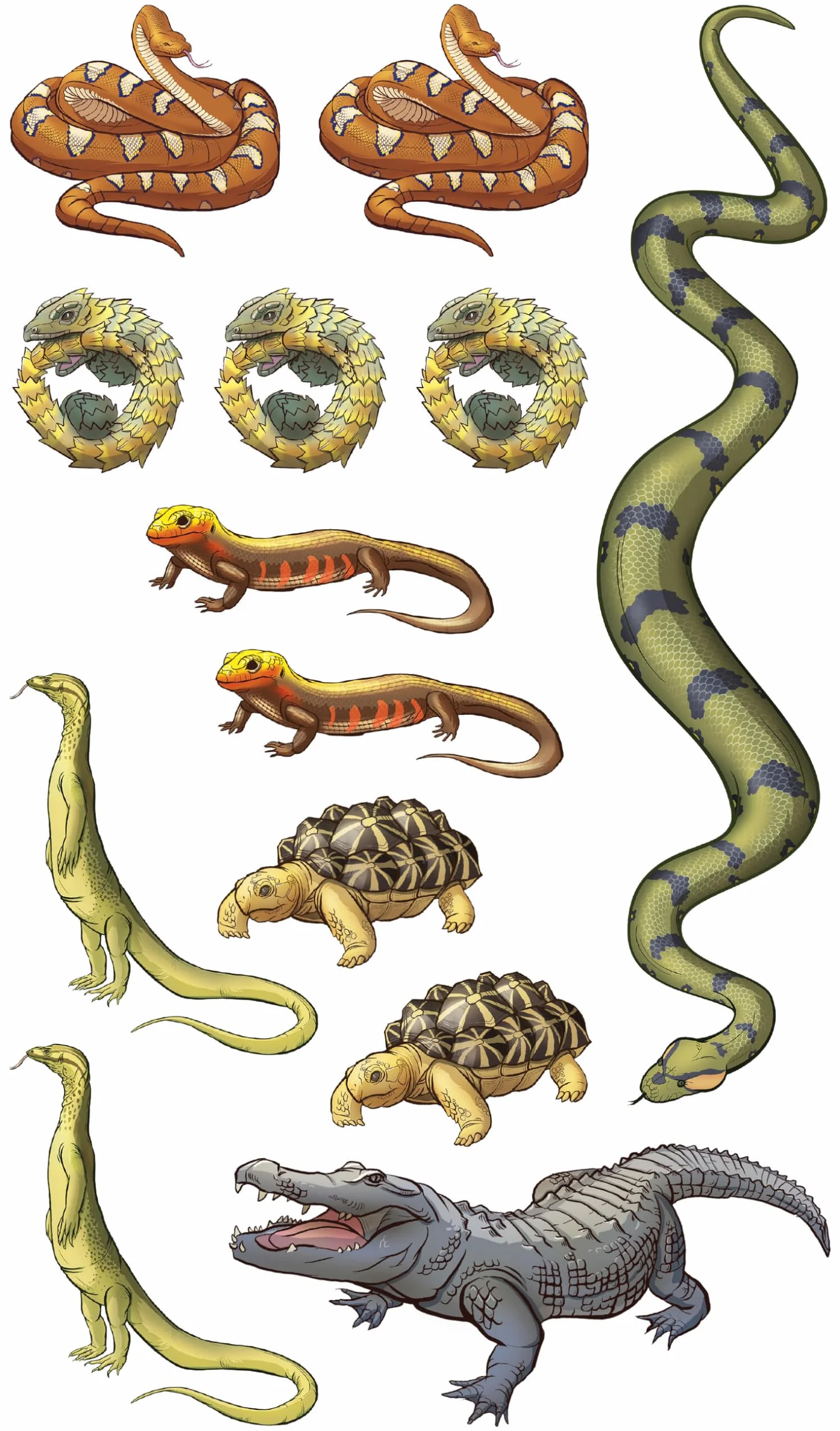 Slithering, Scaly Tattoo Snakes & Other Reptiles: 50 Temporary Tattoos That Teach