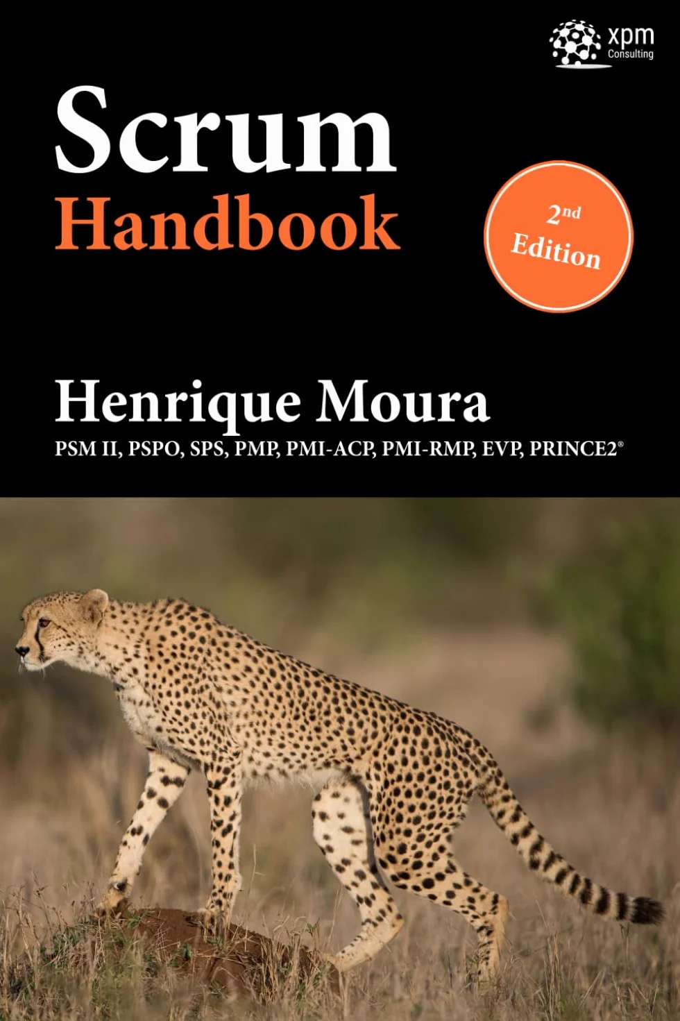 Scrum Handbook
