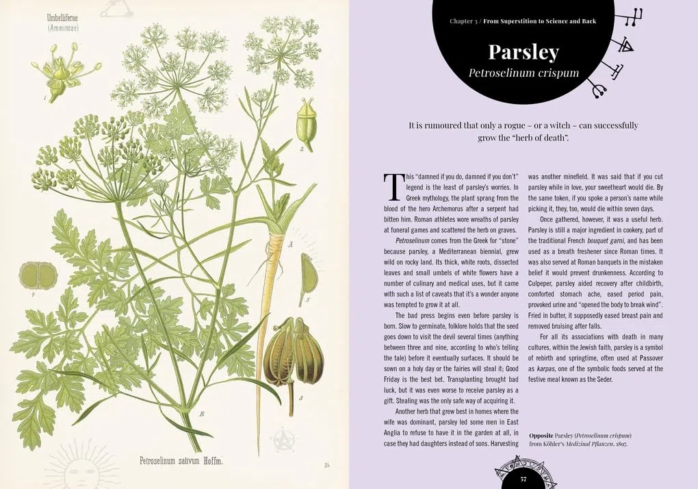Witch's Garden: Plants in Folklore, Magic and Traditional Medicine
