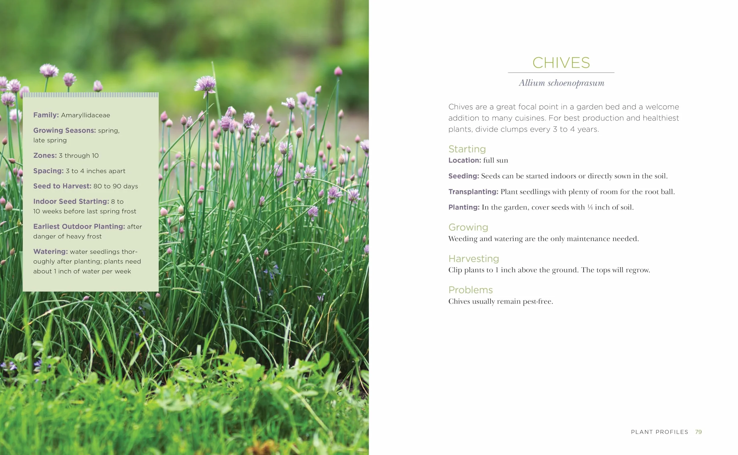 Raised-Bed Gardening for Beginners: Everything You Need to Know to Start and Sustain a Thriving Garden