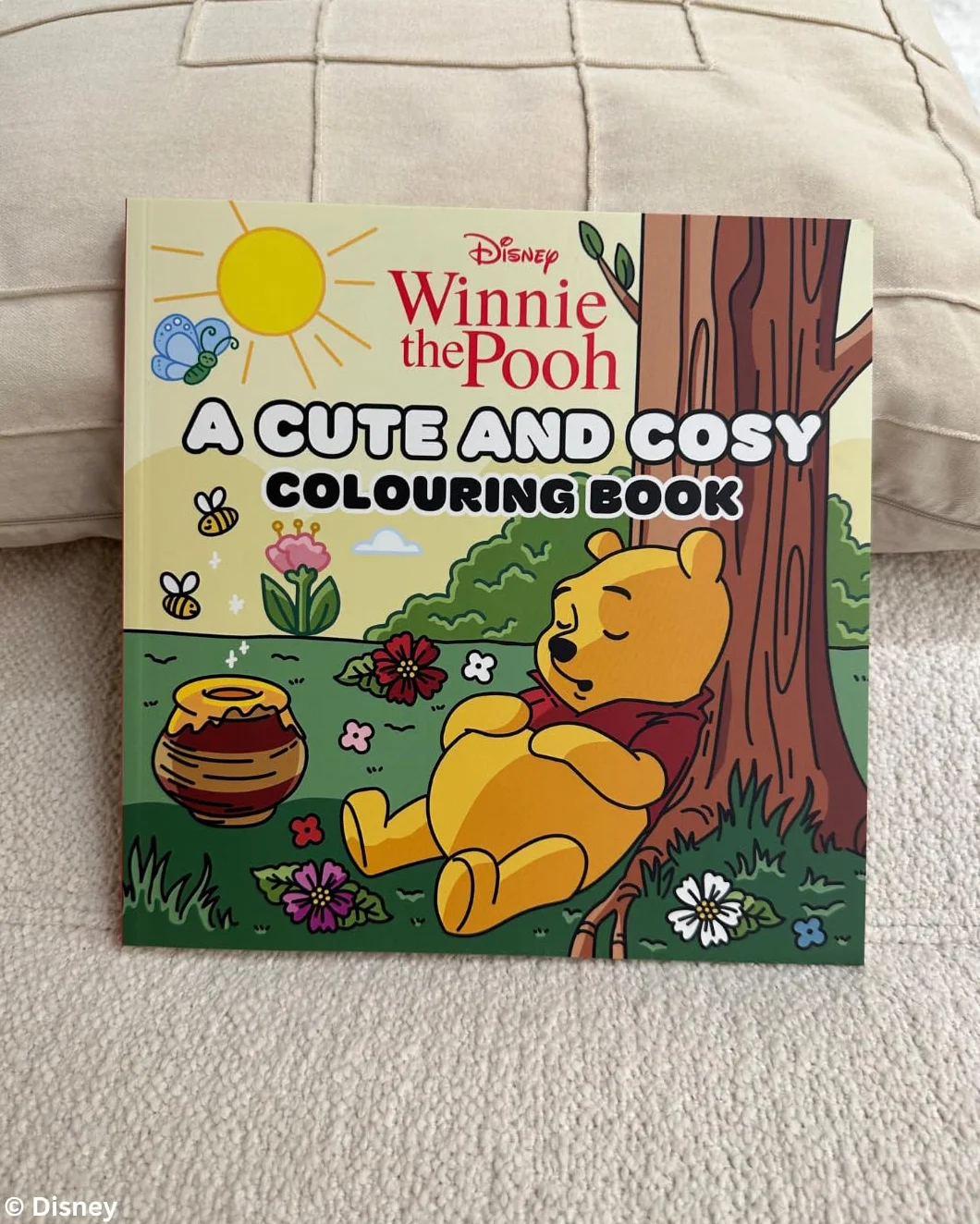 Disney Winnie the Pooh: A Cute and Cosy Colouring Book