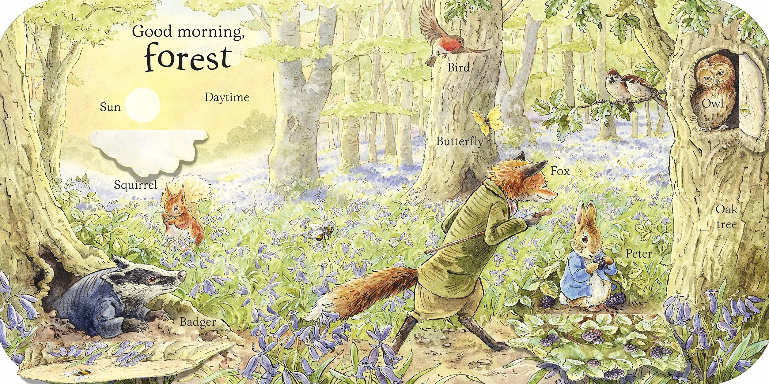 Peter Rabbit Peter's First 100 Words: An early-learning lift-the-flap book for toddlers