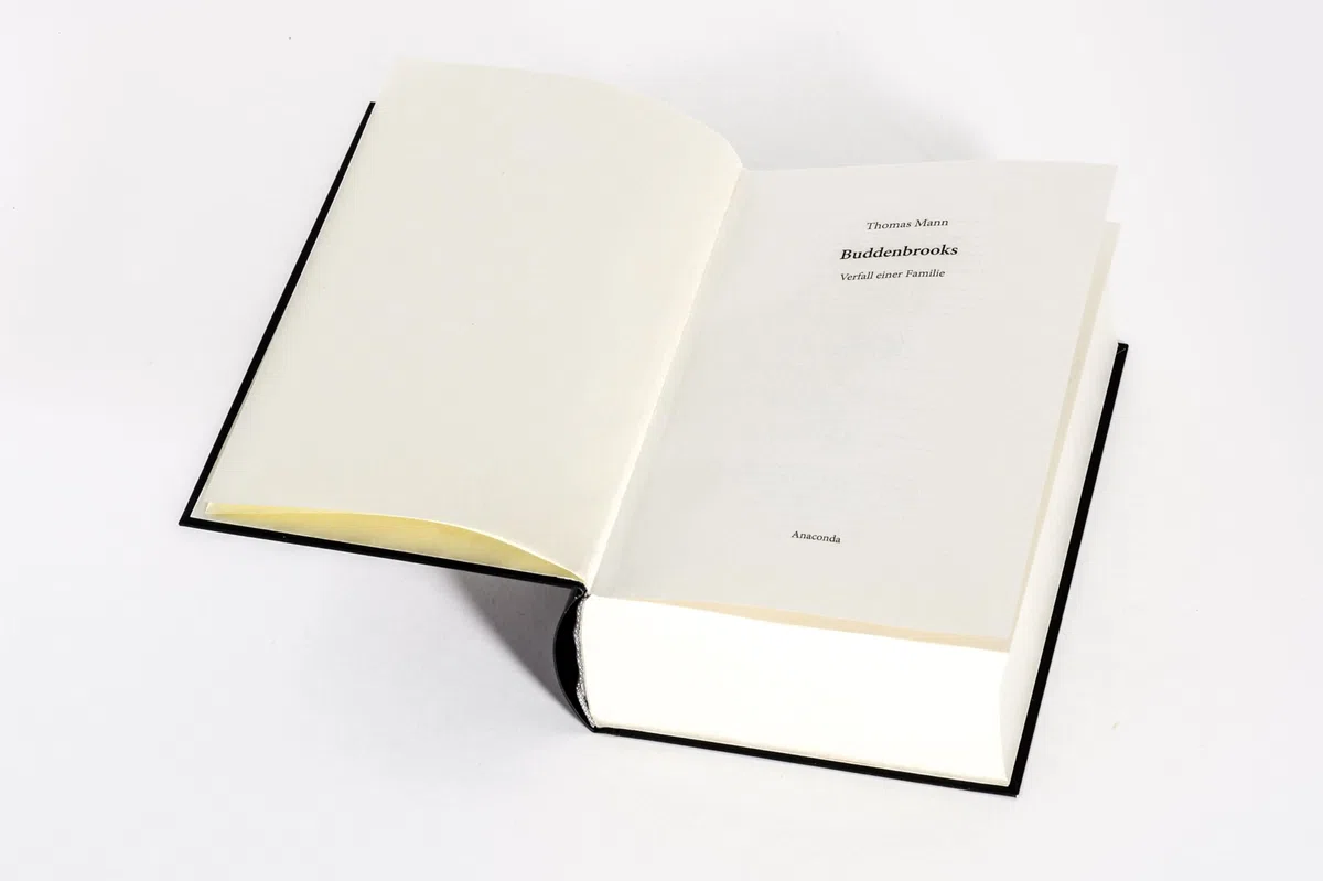 Buddenbrooks. Verfall einer Familie. Roman: Manns legendärer Debütroman, der ihm den Literaturnobelpreis einbachte