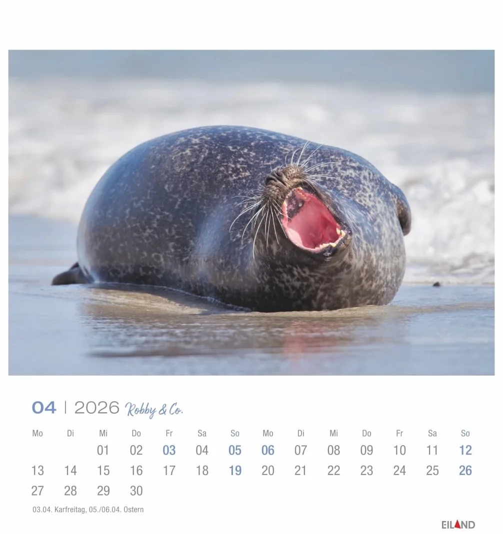 Robby & Co. Postkartenkalender 2026: Robben und Seehunde in natürlicher Umgebung in einem kleinen Kalender. Postkarten-Fotokalender für Tierfreunde zum Aufstellen oder Aufhängen