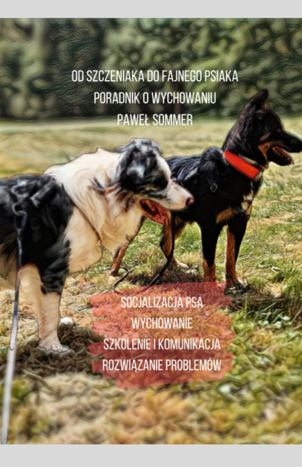 Od szczeniaka do fajnego psiaka — poradnik o wychowaniu