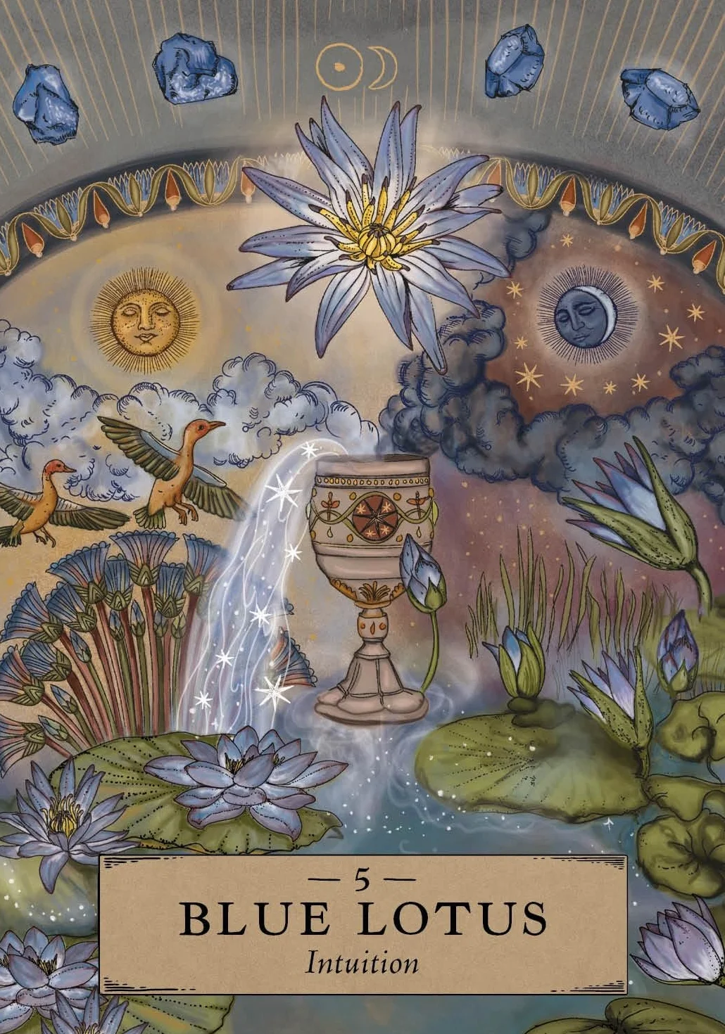 The Herbal Astrology Pocket Oracle: A 55-Card Deck and Guidebook