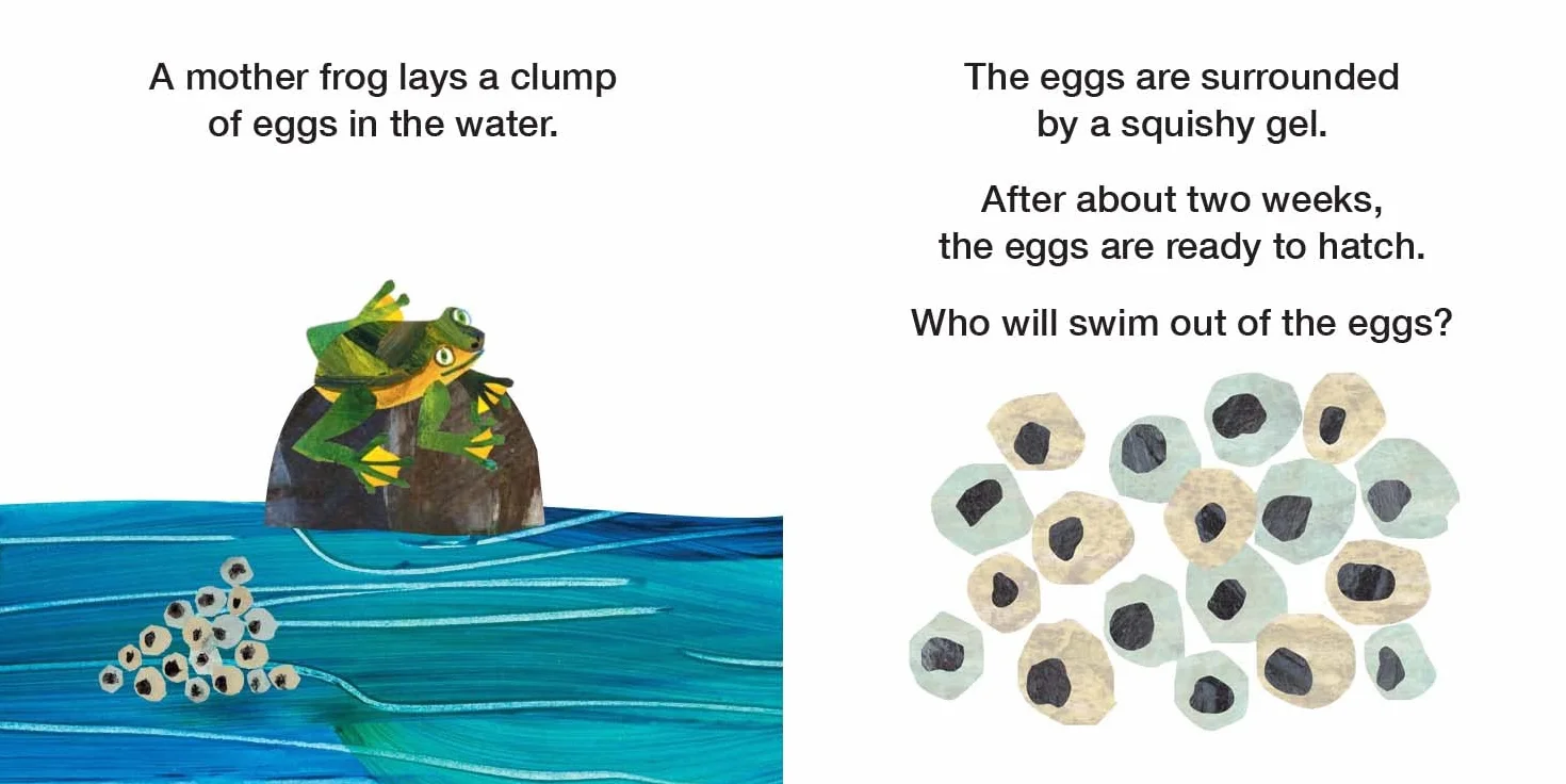 How Does a Tadpole Grow?: Life Cycles with The Very Hungry Caterpillar (The World of Eric Carle)