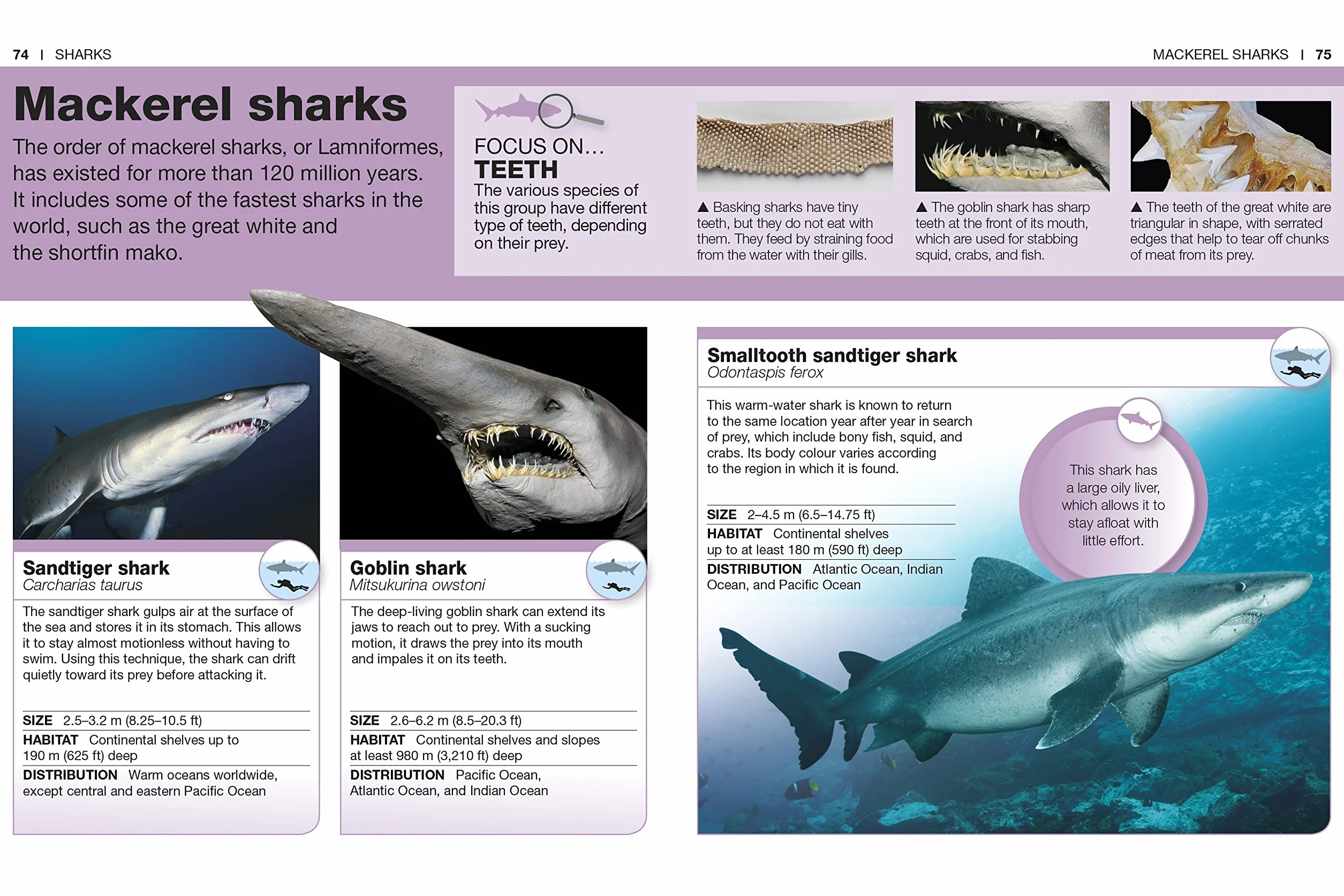 Pocket Eyewitness Sharks: Facts at Your Fingertips