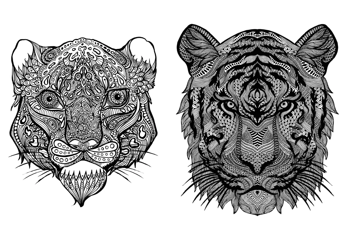 Art Therapy: An Anti-Stress Colouring Book