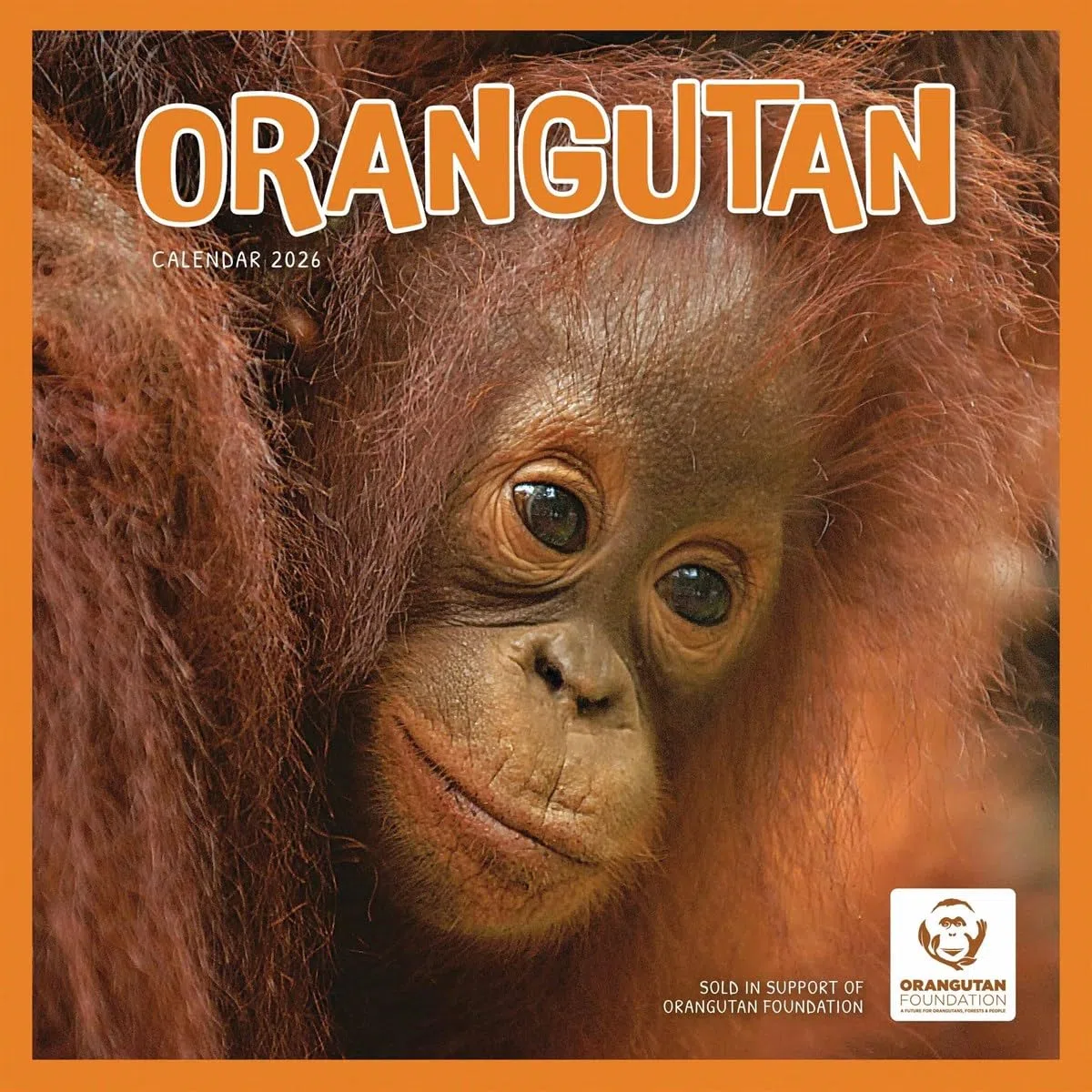 Orangutan – Orang-Utan 2026 – Wand-Kalender: Original Carousel-Kalender [Mehrsprachig] [Kalender]