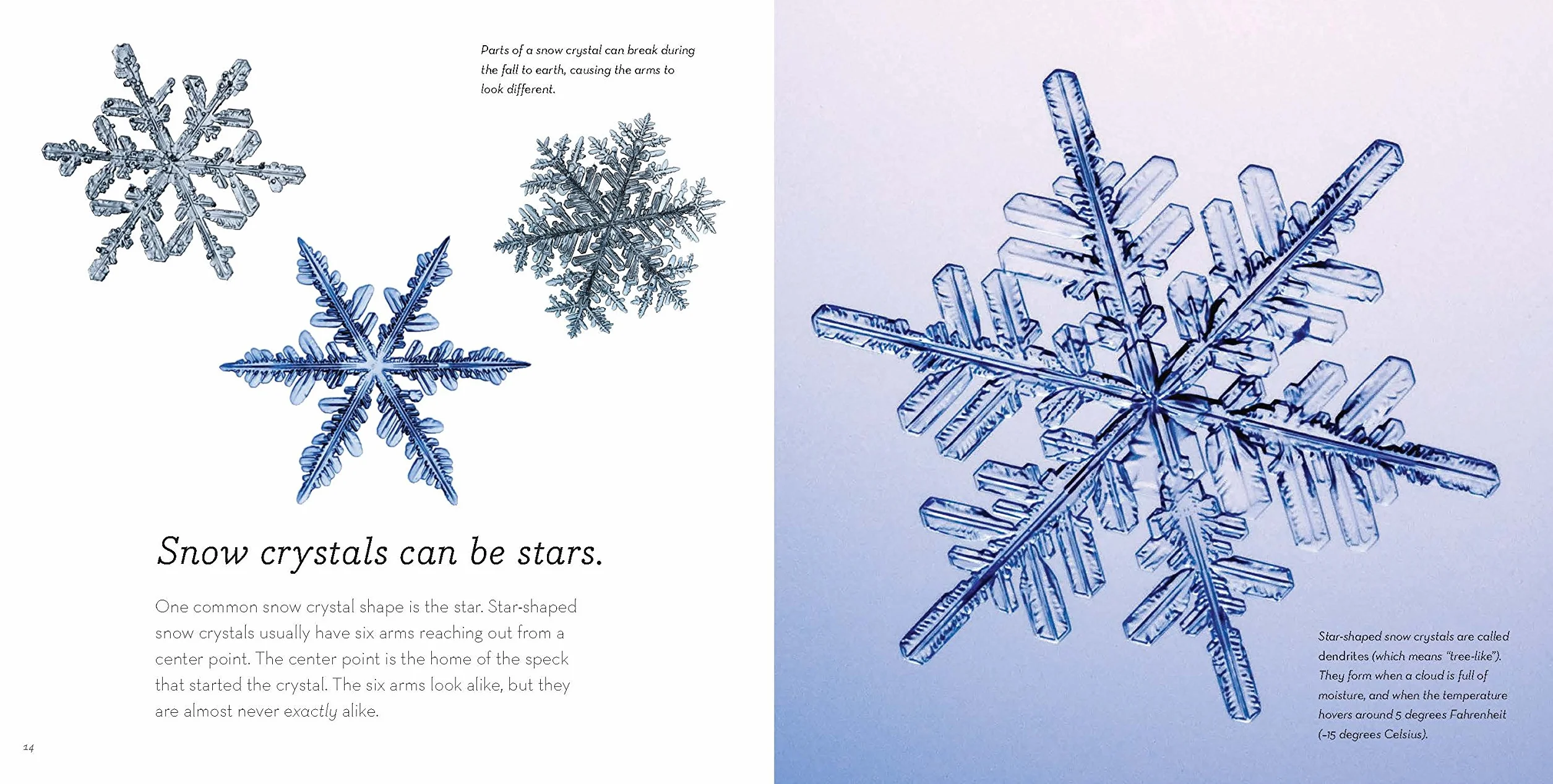 Story of Snow: The Science of Winter's Wonder