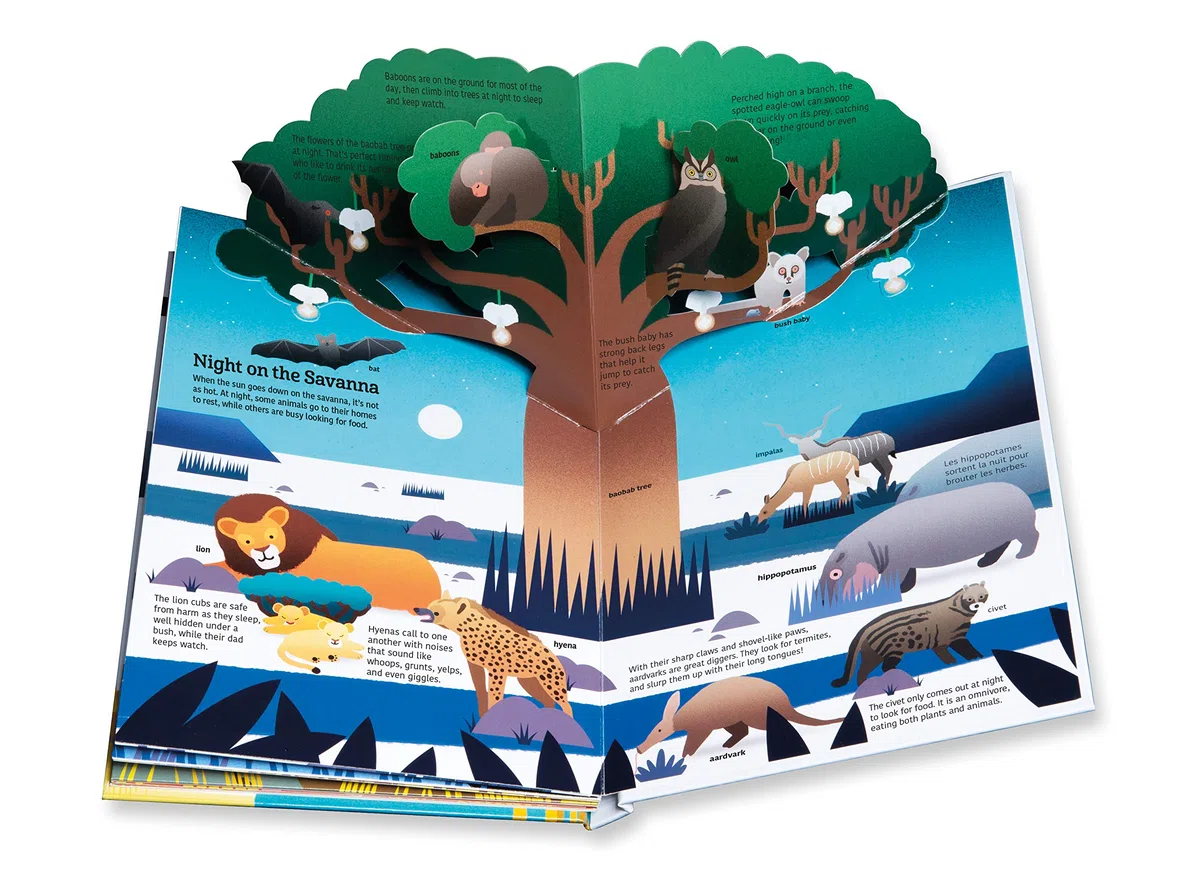 Ultimate Spotlight: Savanna Animals: 4