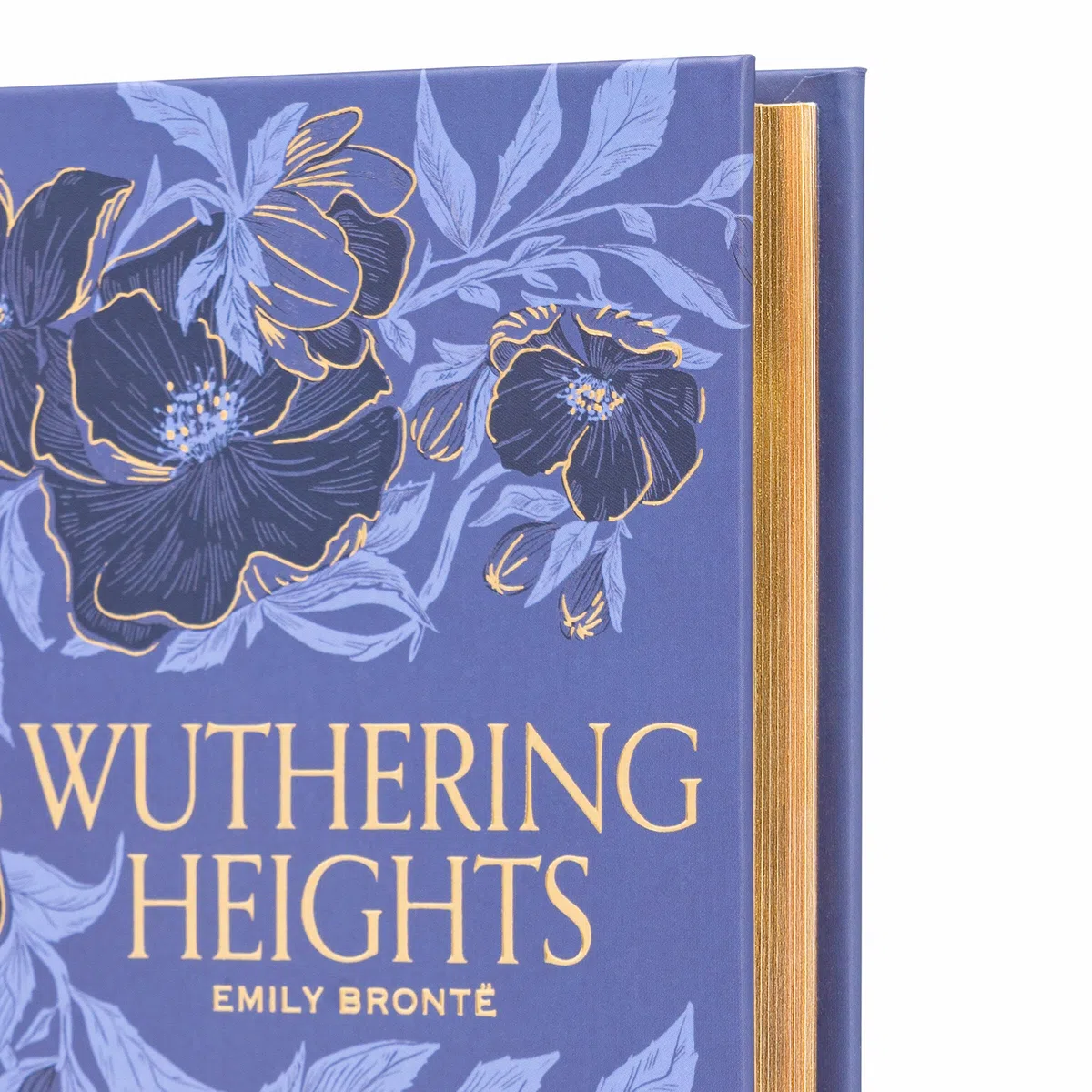 Wuthering Heights (Special Edition)