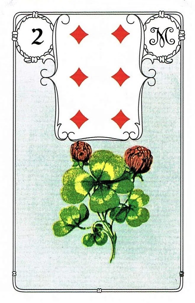 Lenormand Orakelkarten - Blaue Eule: Wahrsagekarten mit Symbolen